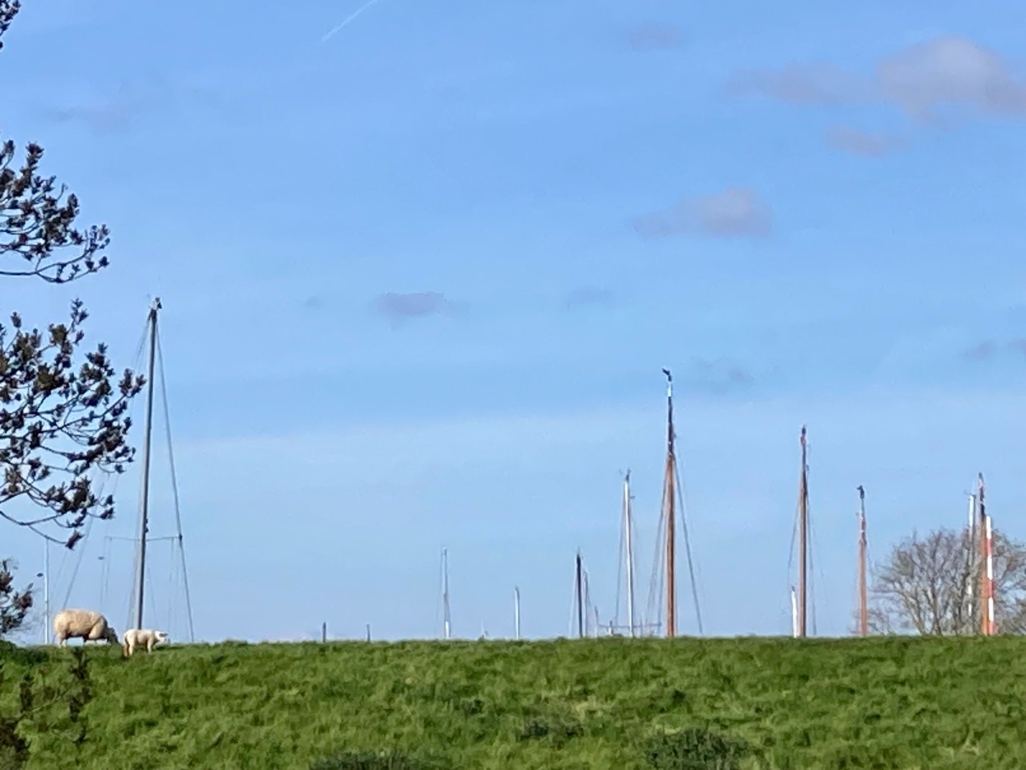 162 Grachthaus-Dedans