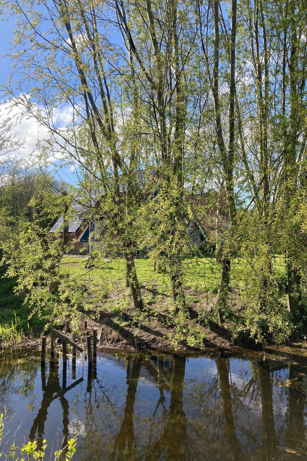 162 Grachthaus-Dedans