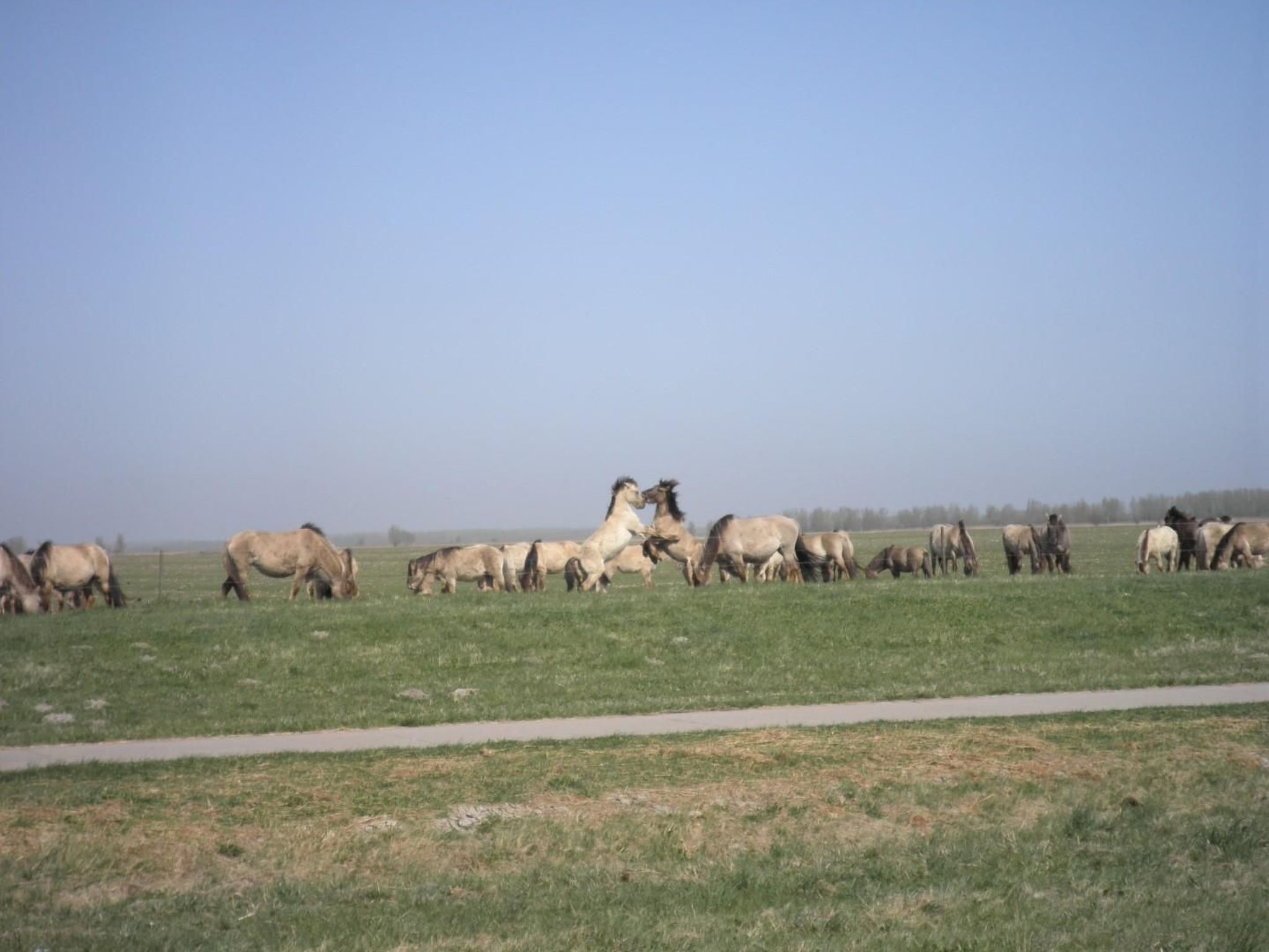 117 Haus Fee-Drinnen