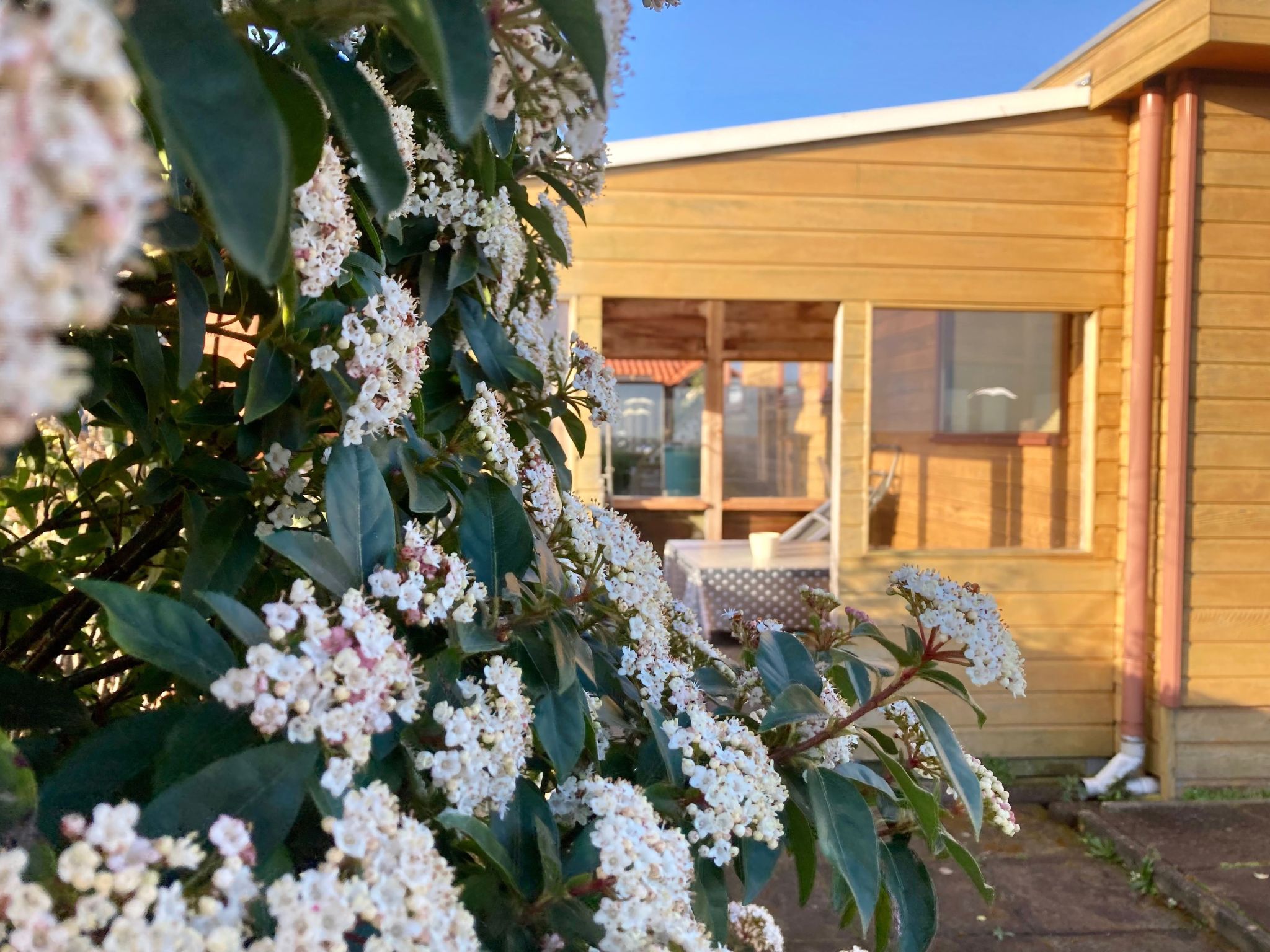 Haus Sonnenschein mit Blick auf das Lauwersmeer-Drinnen