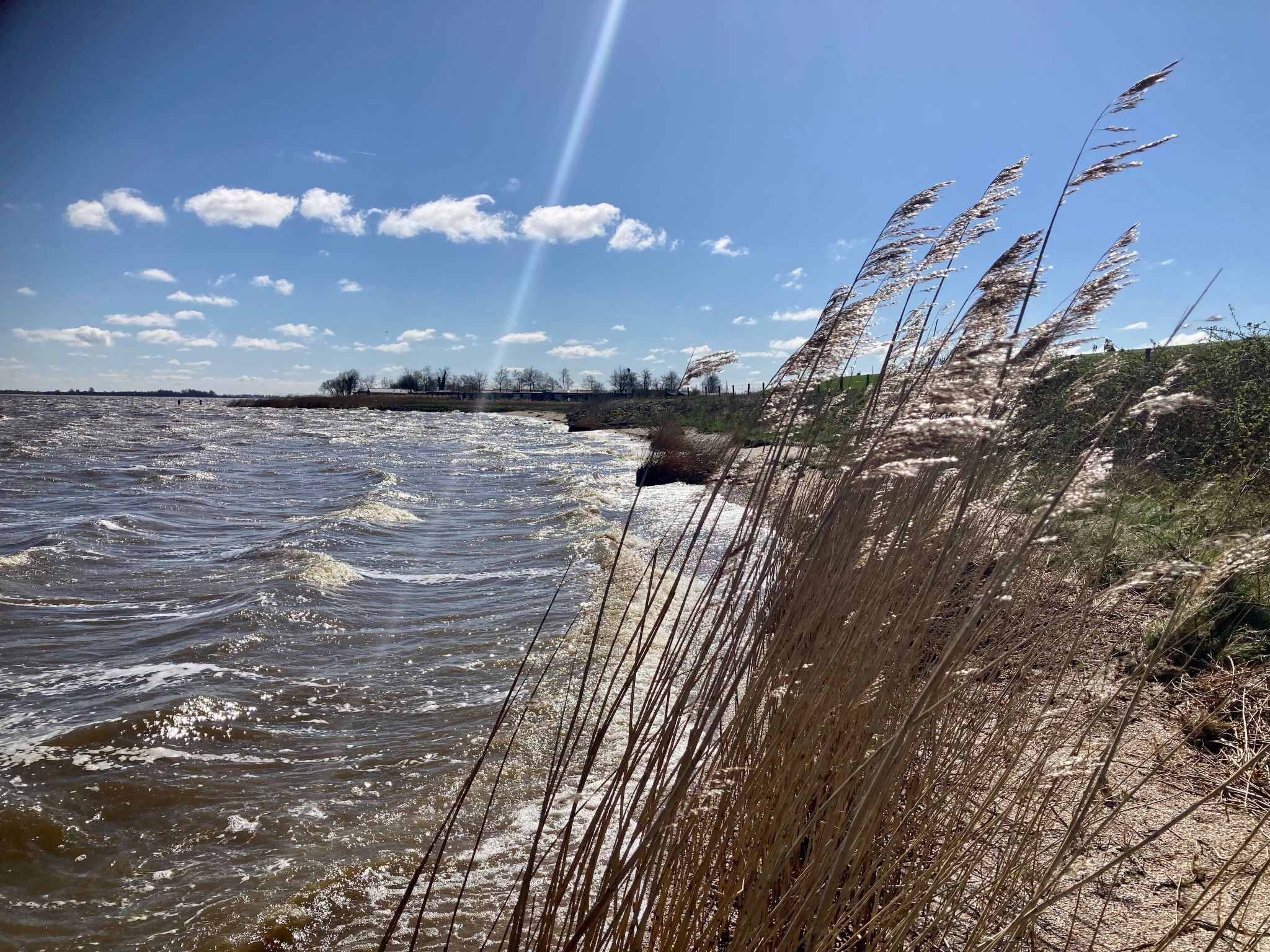 Haus Sonnenschein mit Blick auf das Lauwersmeer-Drinnen