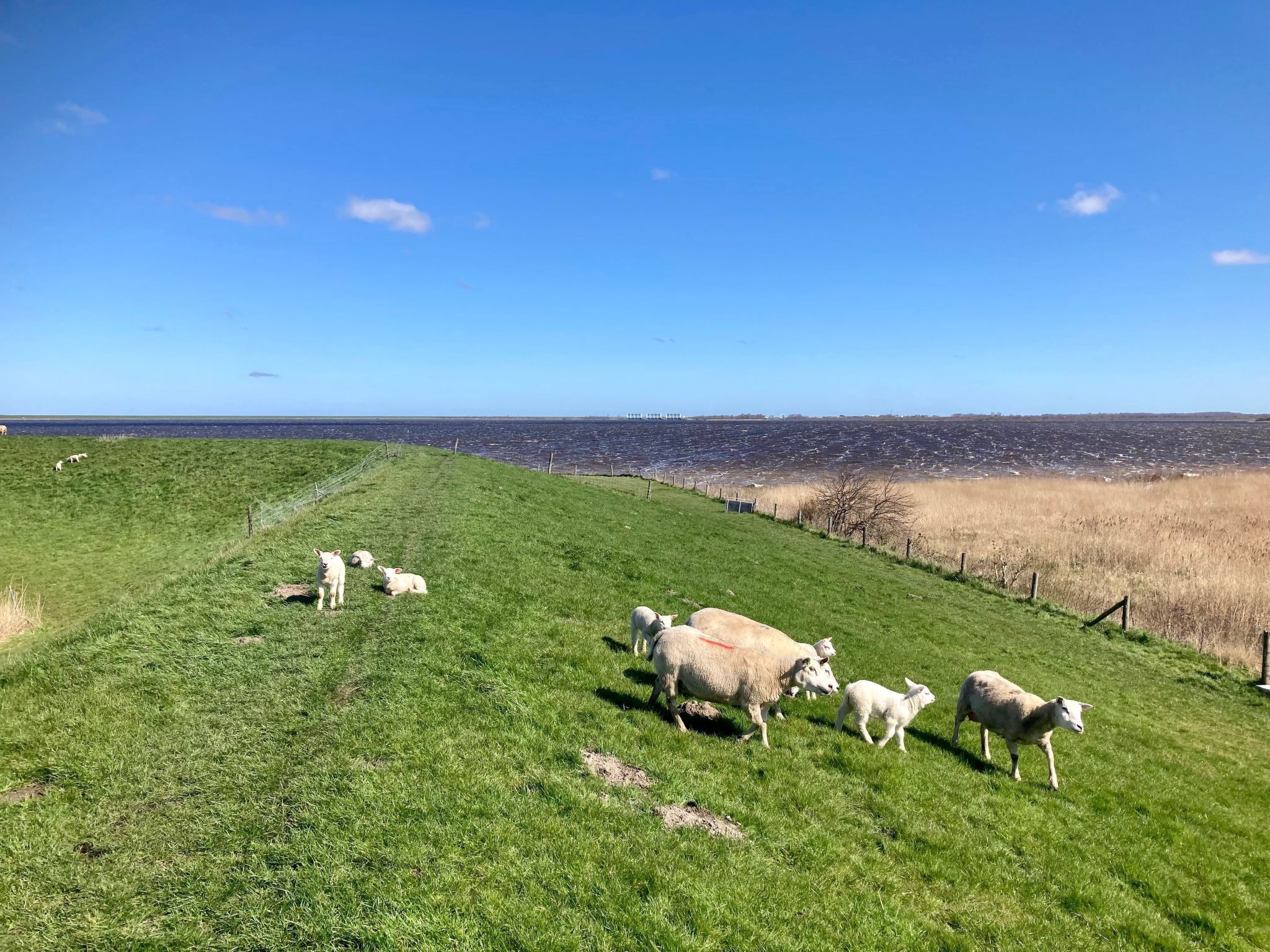 Haus Sonnenschein mit Blick auf das Lauwersmeer-Drinnen