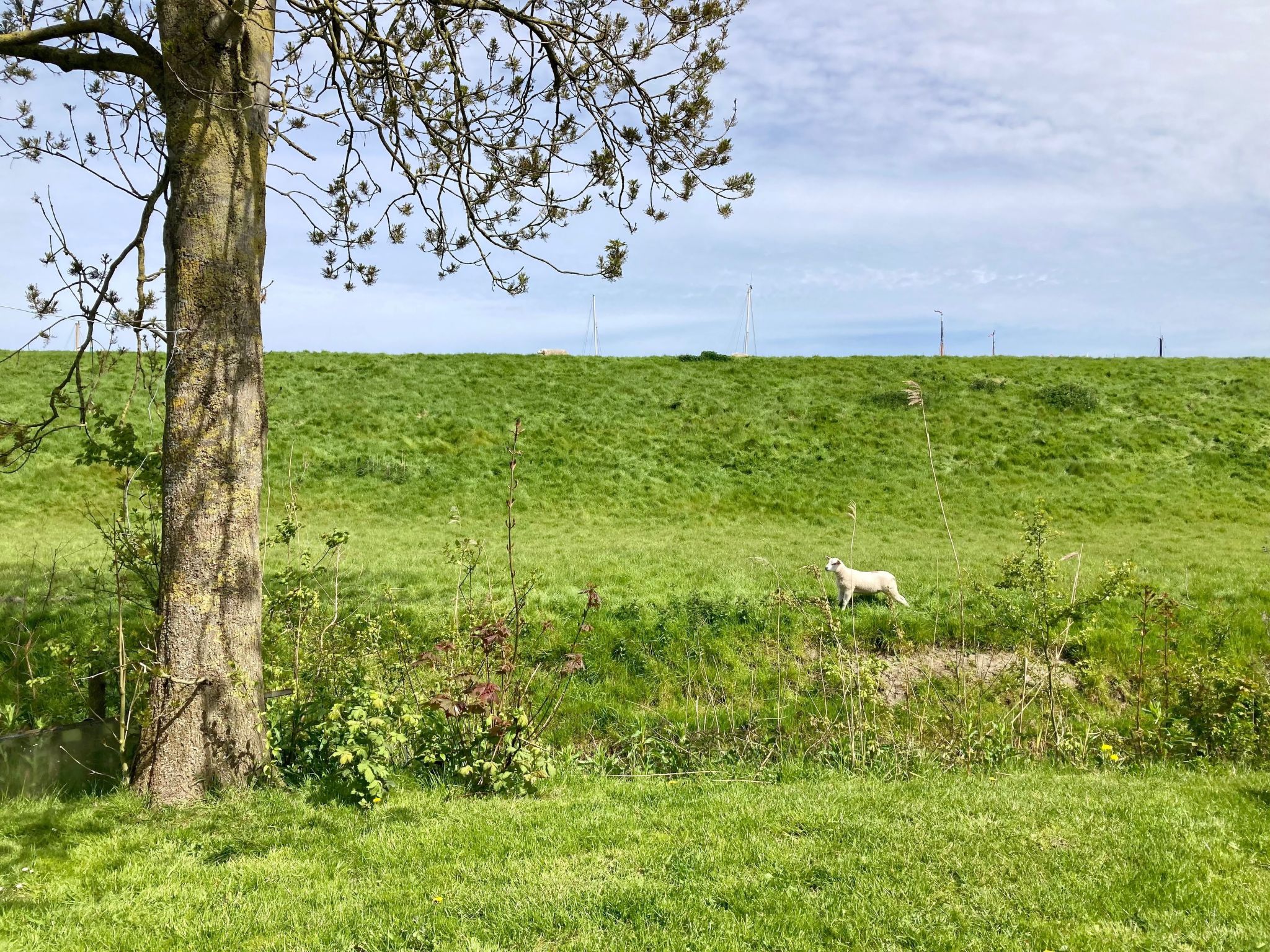 155 Joke am Deich-Binnen