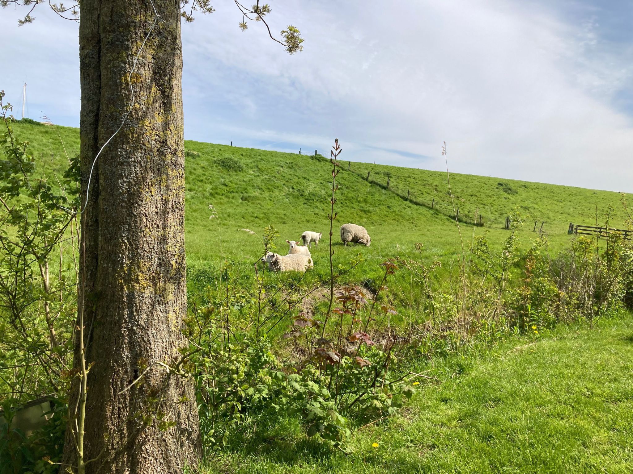 155 Joke am Deich-Binnen