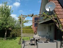 182 De Druif