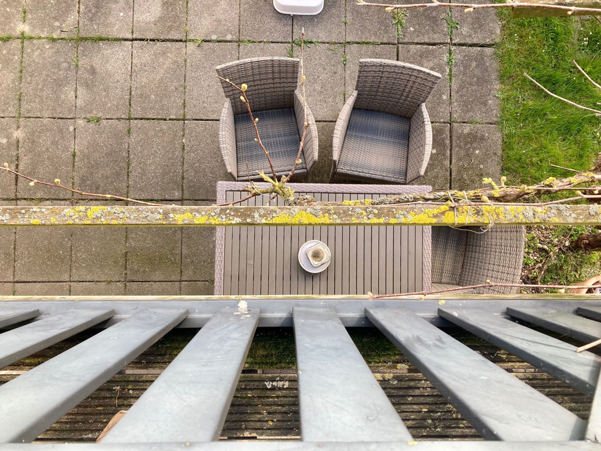 182 De Druif-Drinnen