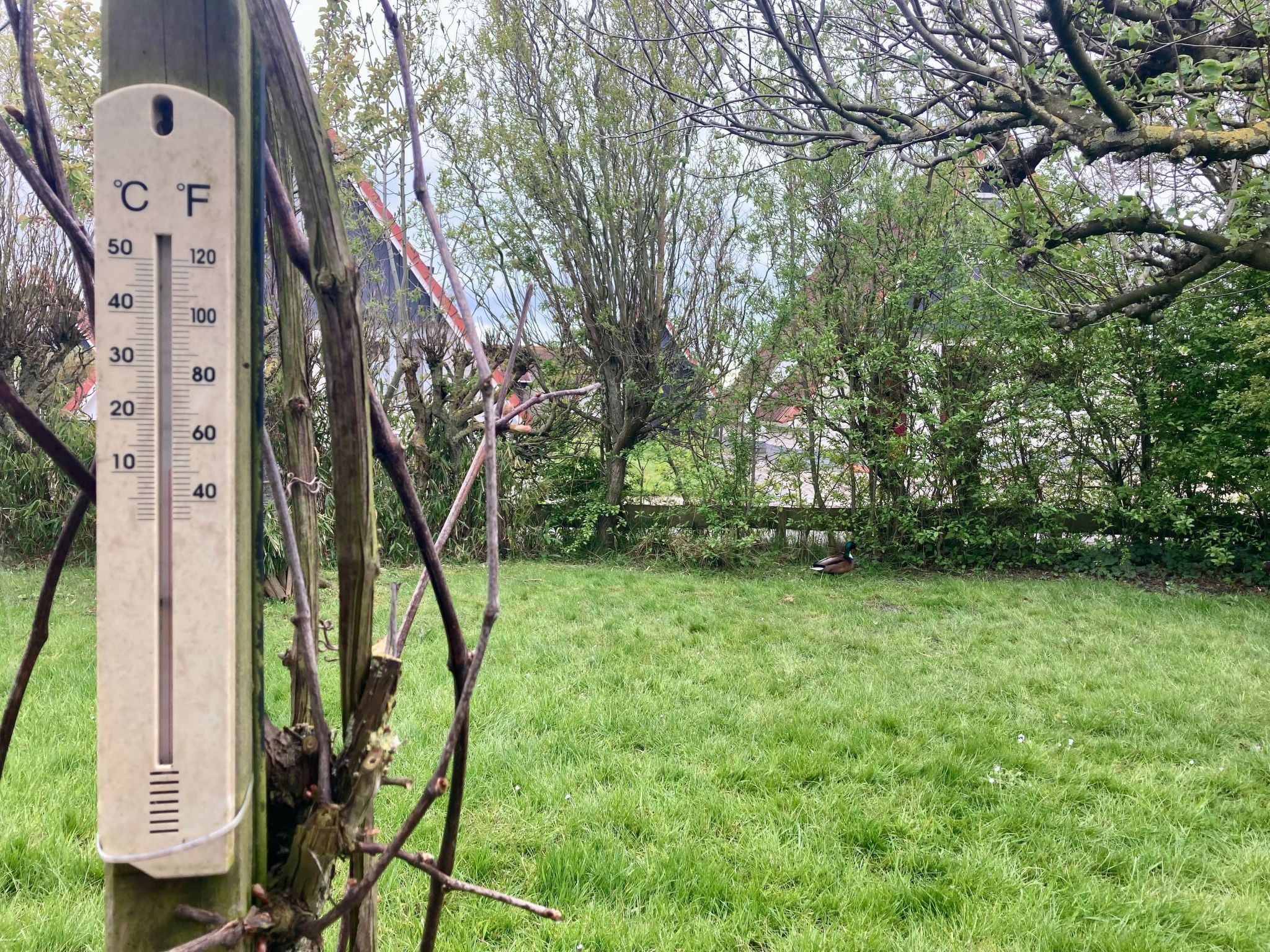 182 De Druif-Drinnen