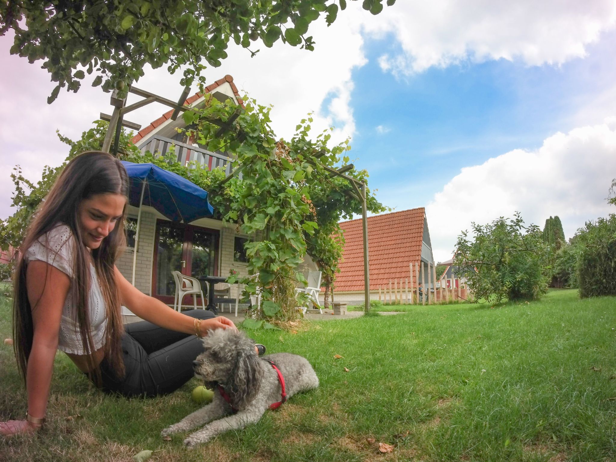 182 De Druif-Drinnen