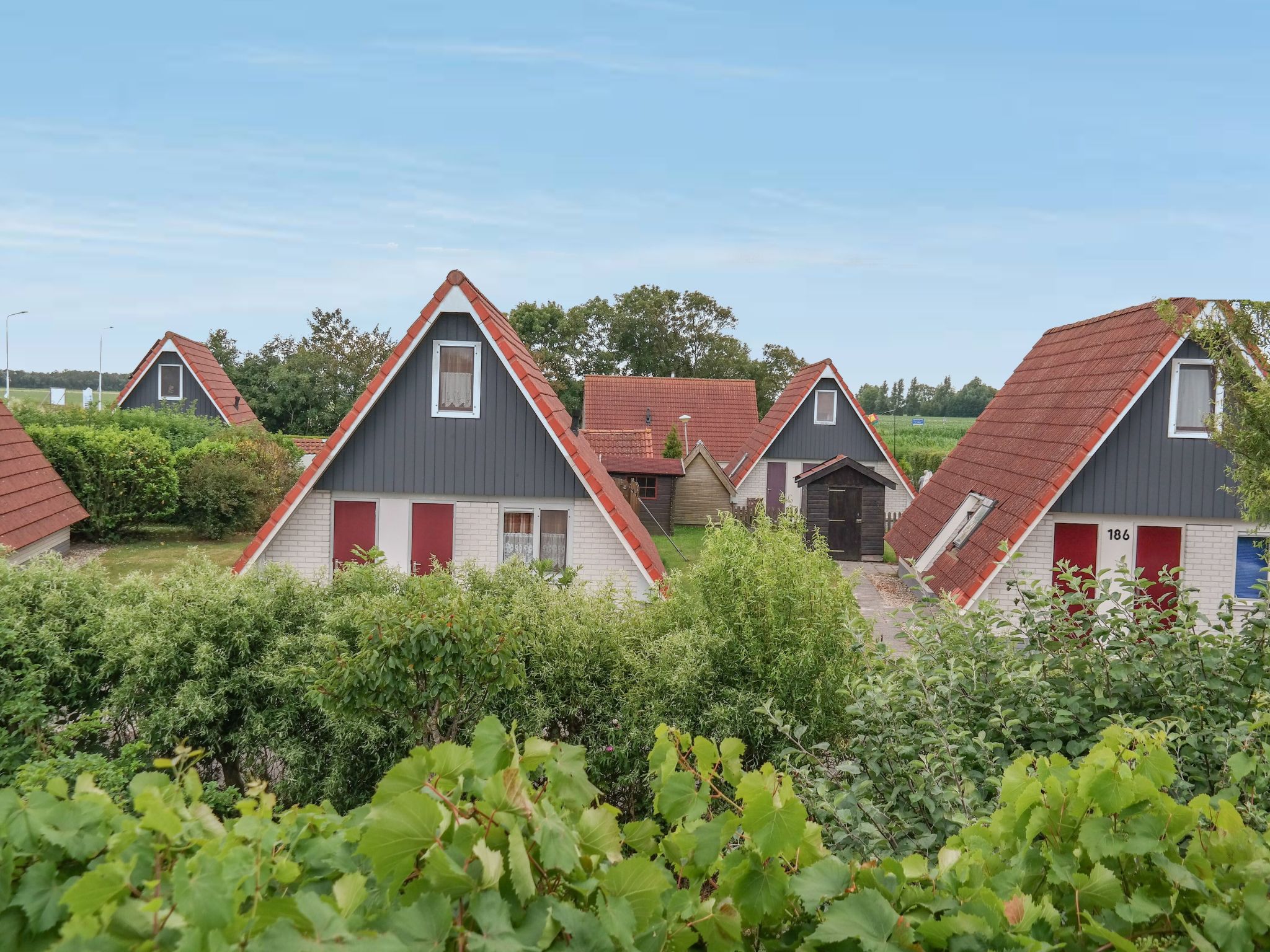 182 De Druif-Drinnen