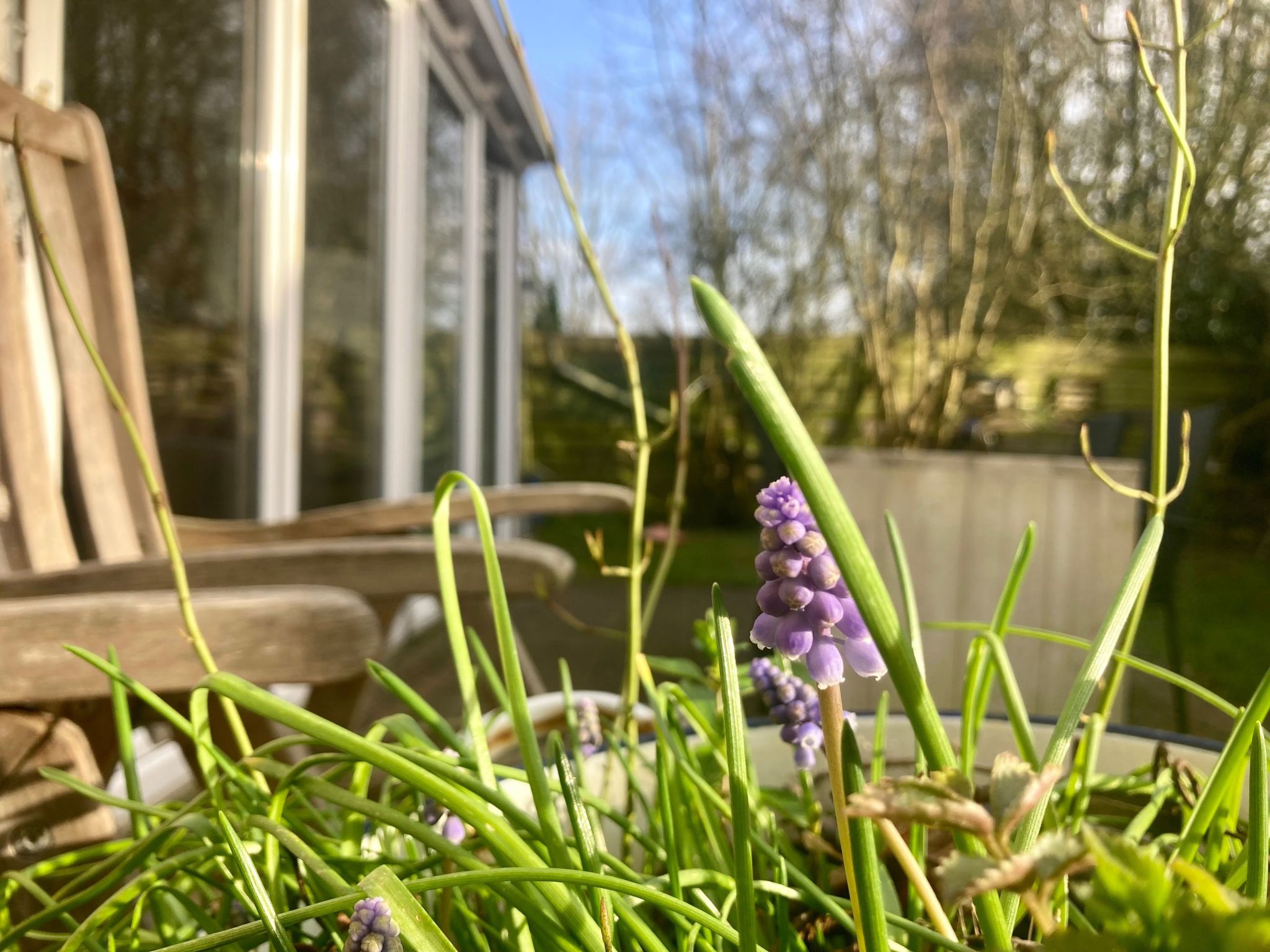 Ruhiges Ferienhaus mit großer offener Küche-Drinnen