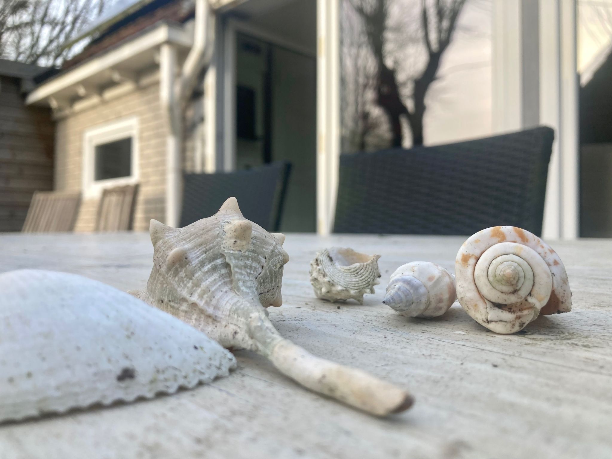 Ruhiges Ferienhaus mit großer offener Küche-Drinnen