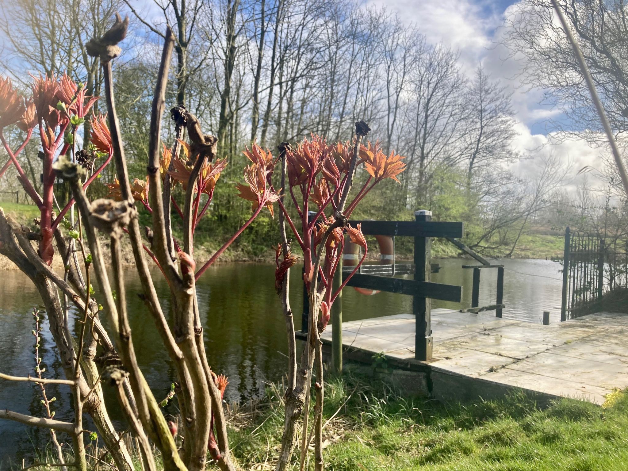 170 Platz an Sonne-Drinnen