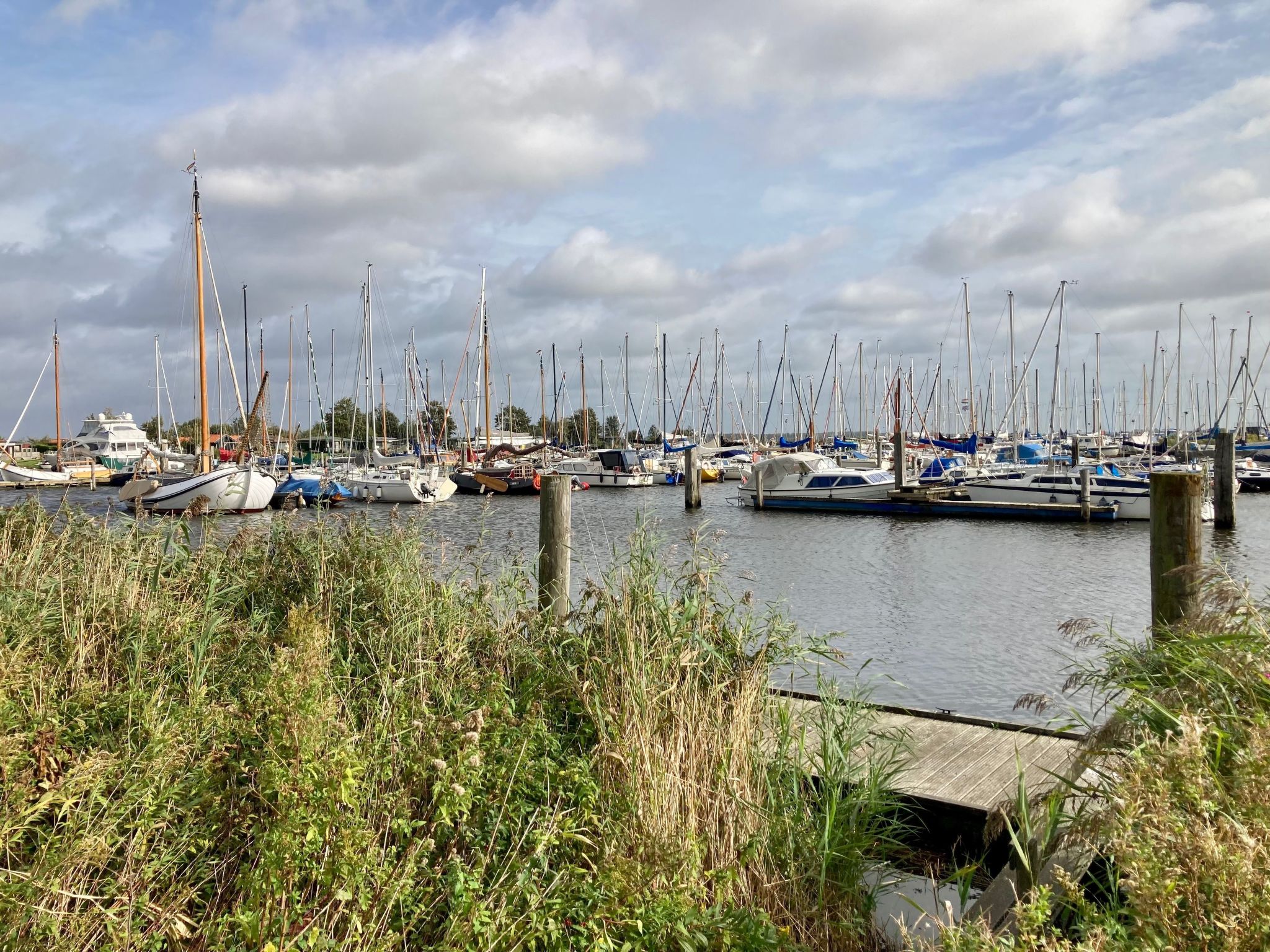 009 Casa Rosa-Binnen