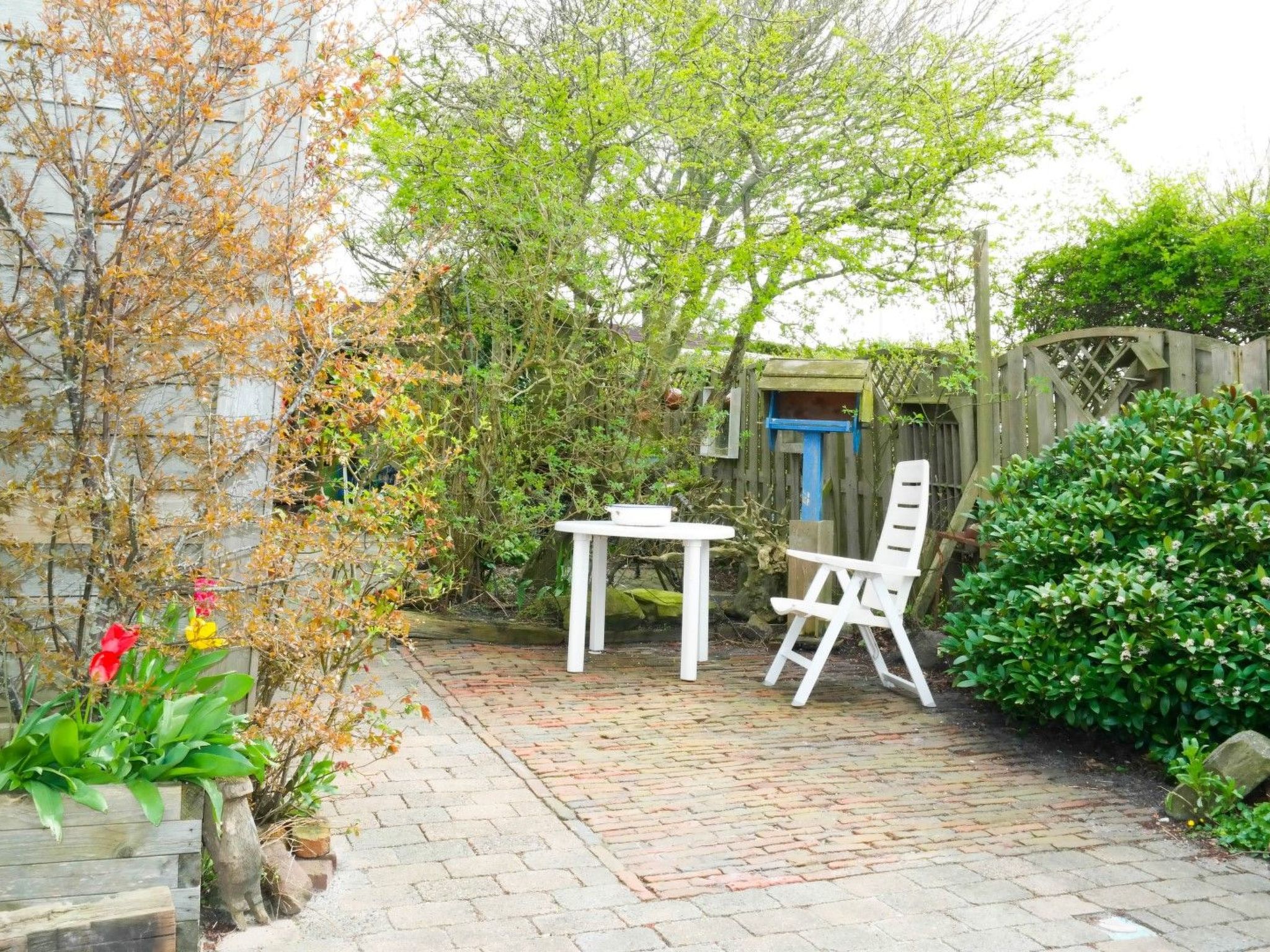 In Anjum mit Sauna, Garten und Terrasse-Image-tags.info