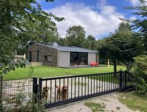 Villa Vrijheid: Luxe vakantiewoning met sauna op Ameland, 1,5 km van strand - thumbnail 1