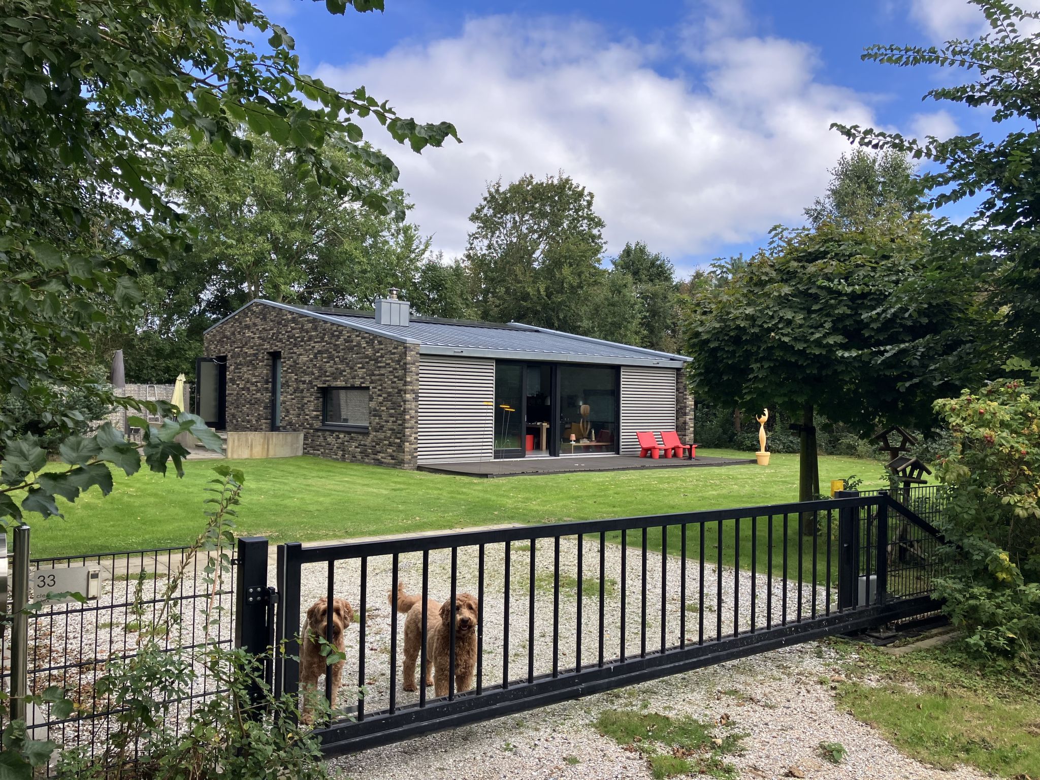 Ferienhaus mit umzäuntem Garten in Ameland (Niederlande) und 1 Hund erlaubt