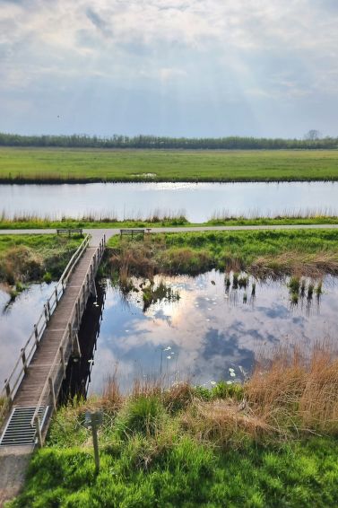 Natuurlijk de Veenhoop