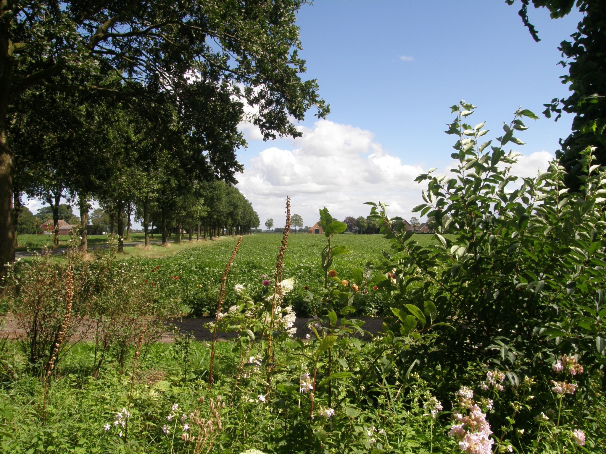Urlaub wie früher auf einem Bauernhof mit dem Komfort von heute.-Binnen
