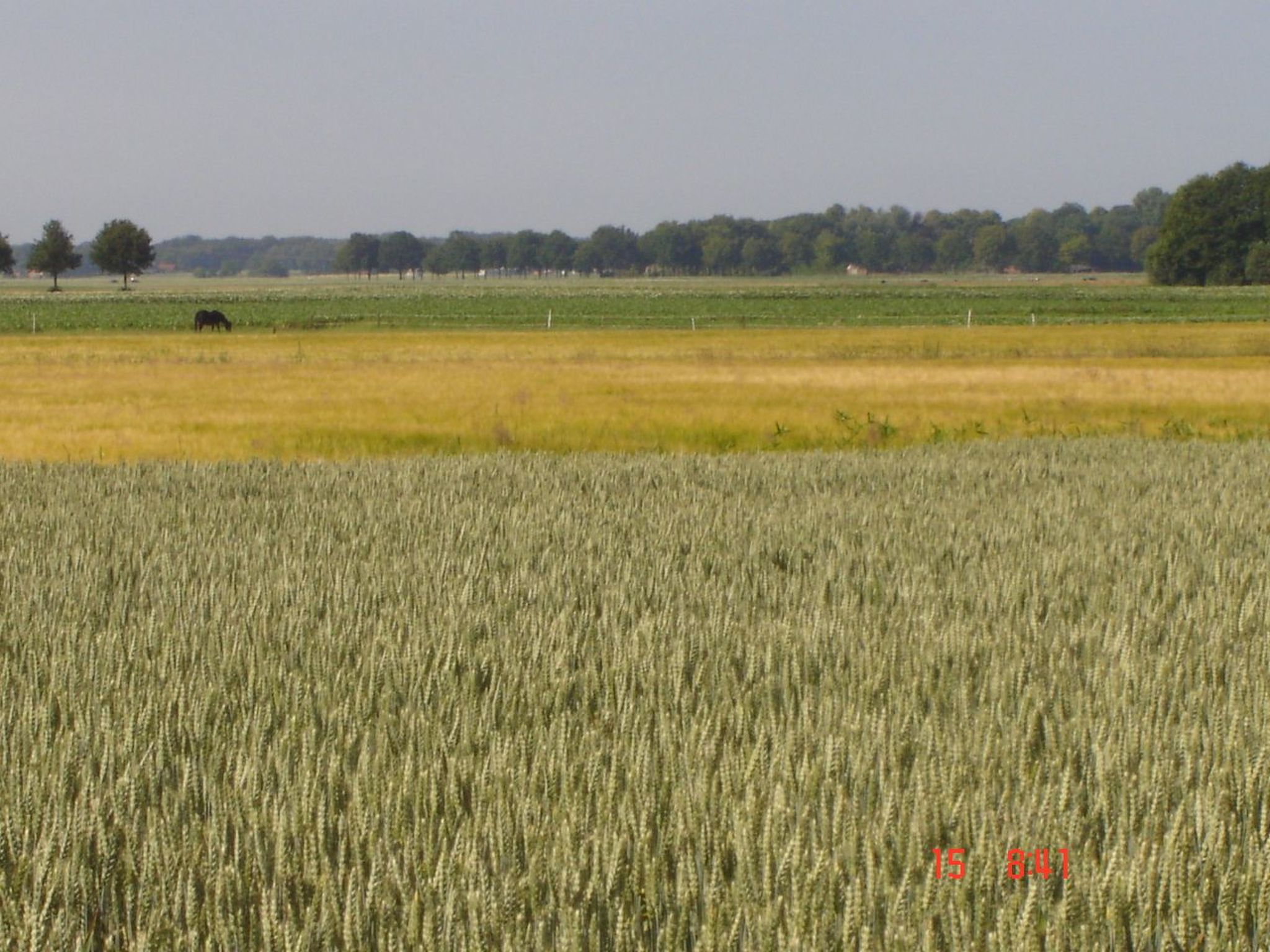 Urlaub wie früher auf einem Bauernhof mit dem Komfort von heute.-Binnen