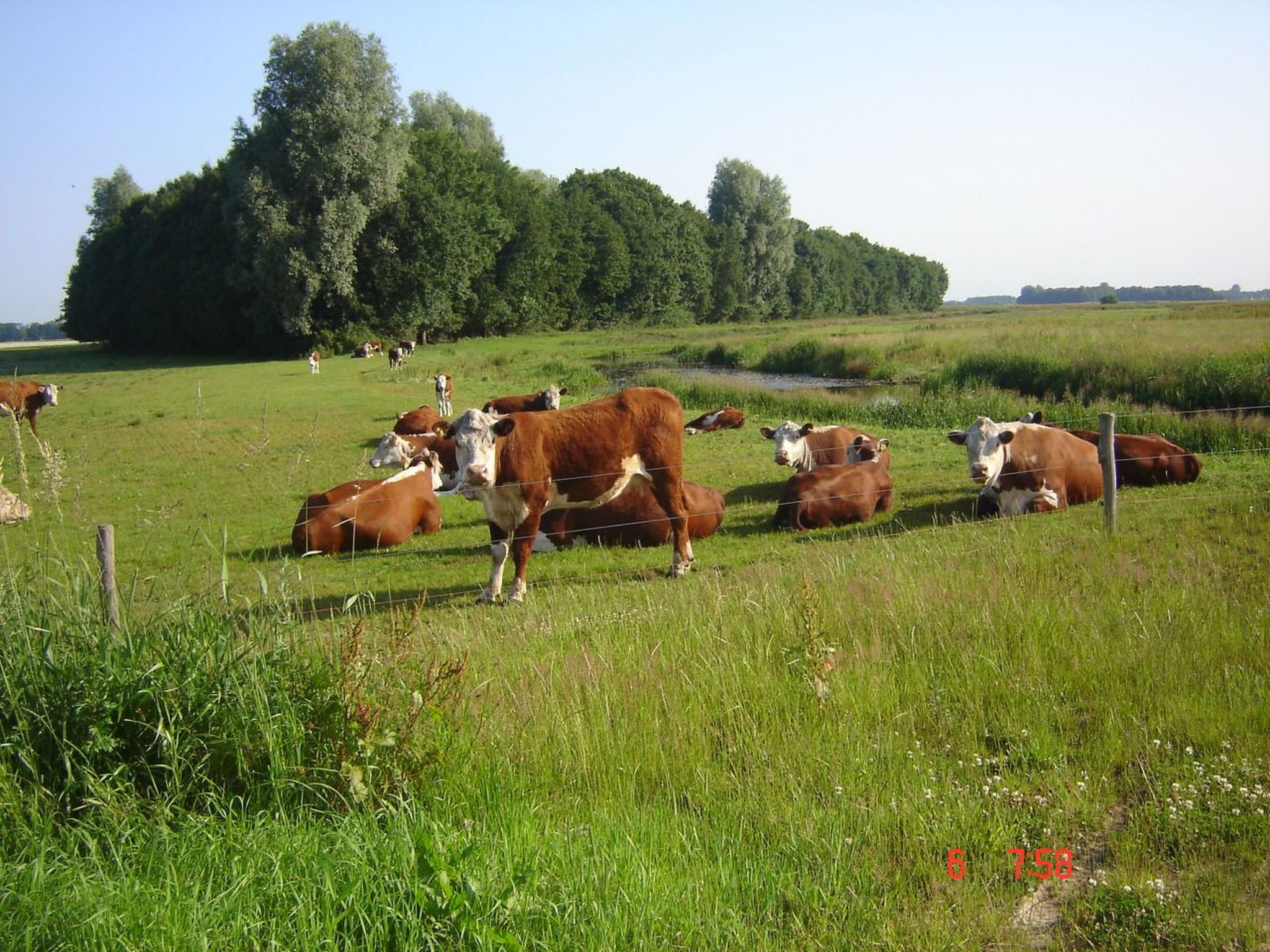 Urlaub wie früher auf einem Bauernhof mit dem Komfort von heute.-Binnen