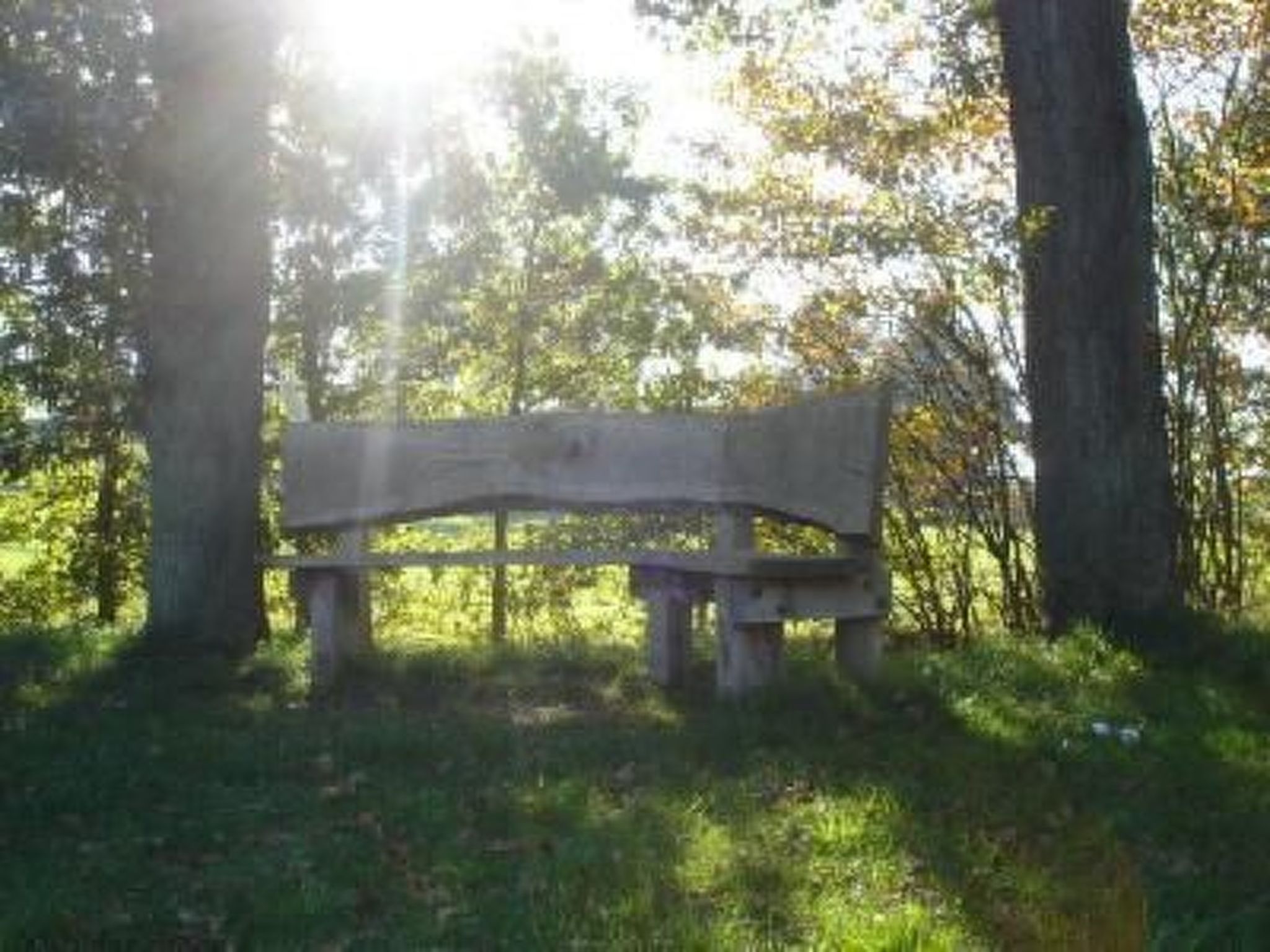 Gemütlicher Ferienhof Loosternest in Vriescheloo-Binnen