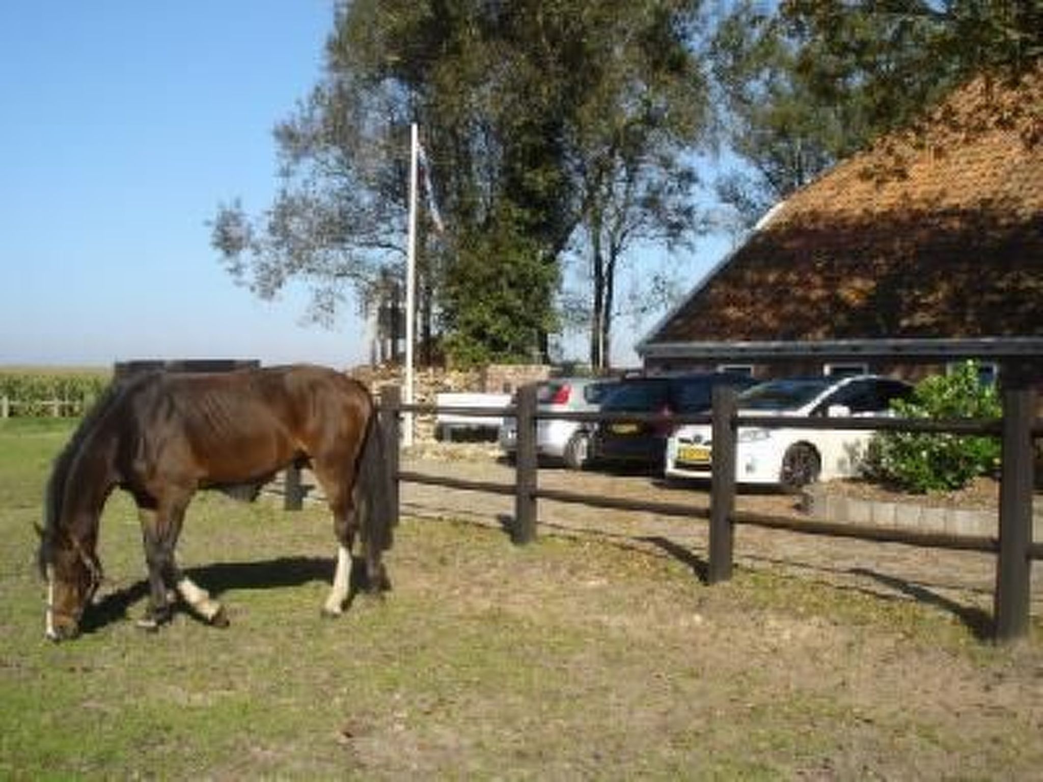Gemütlicher Ferienhof Loosternest in Vriescheloo-Binnen