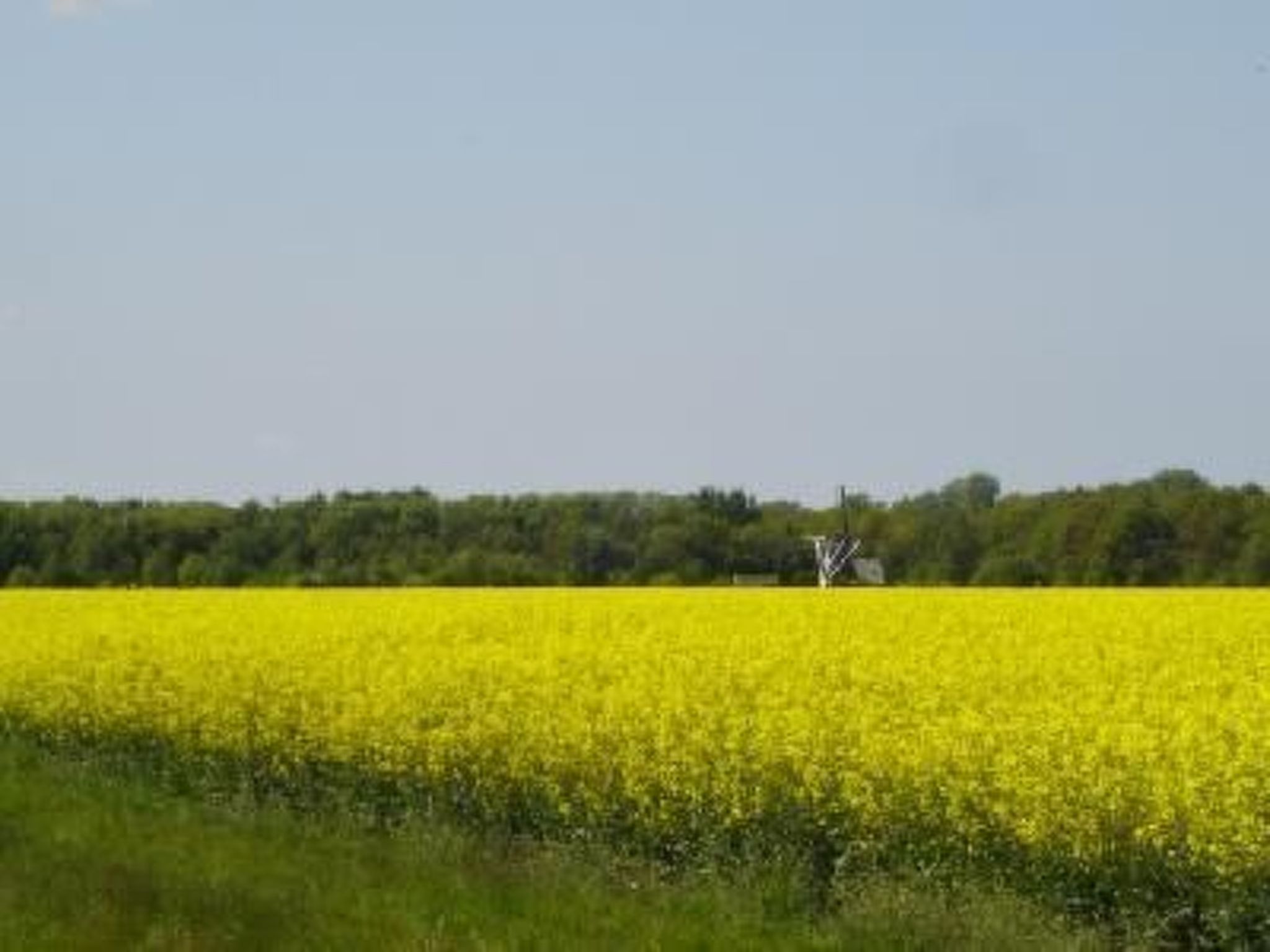 Gemütlicher Ferienhof Loosternest in Vriescheloo-Binnen