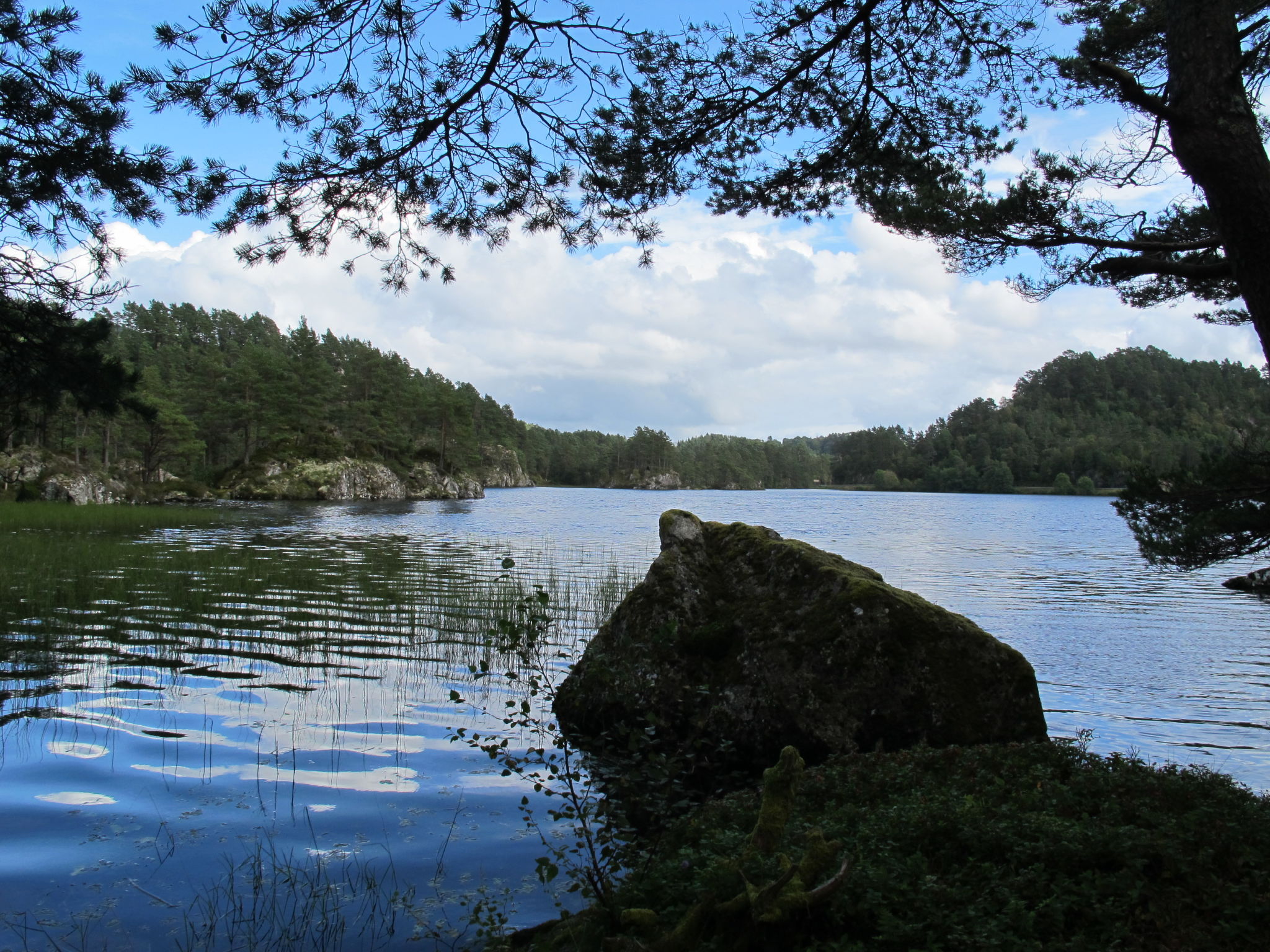 Maison Hauken – Environs, photo 27 sur 29