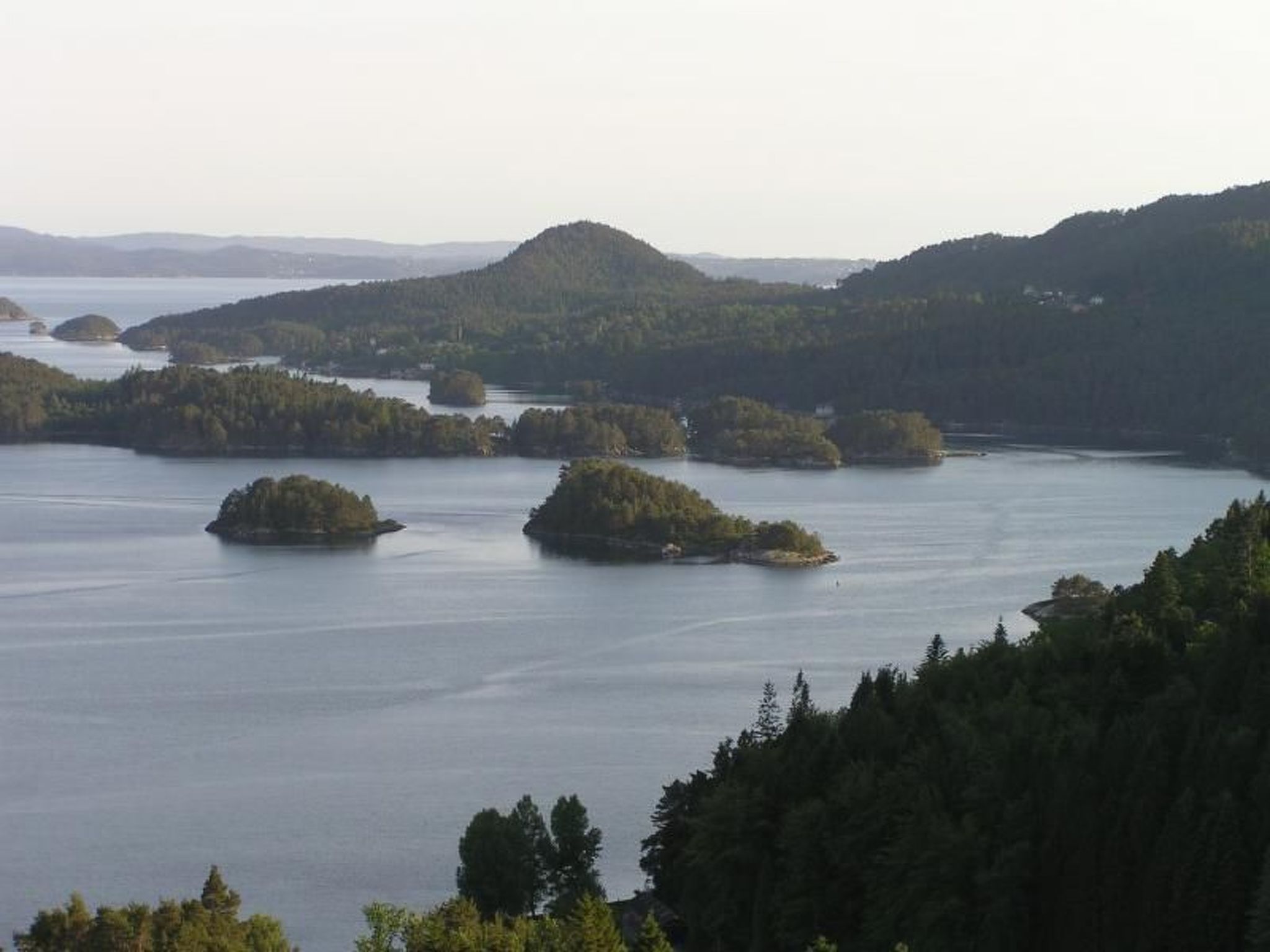 Fw Franzi-Image-tags.info