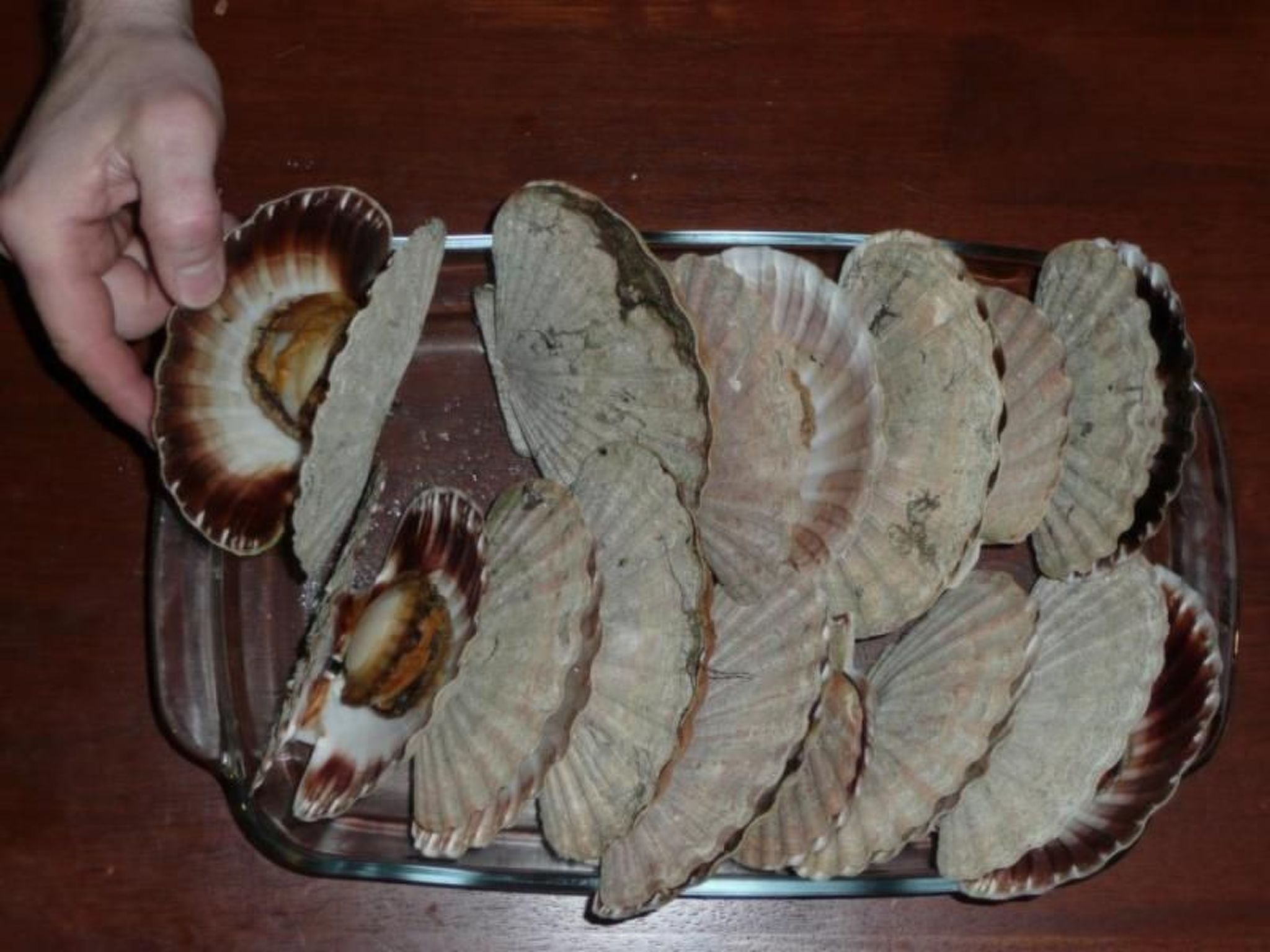 Fw Franzi-Image-tags.info