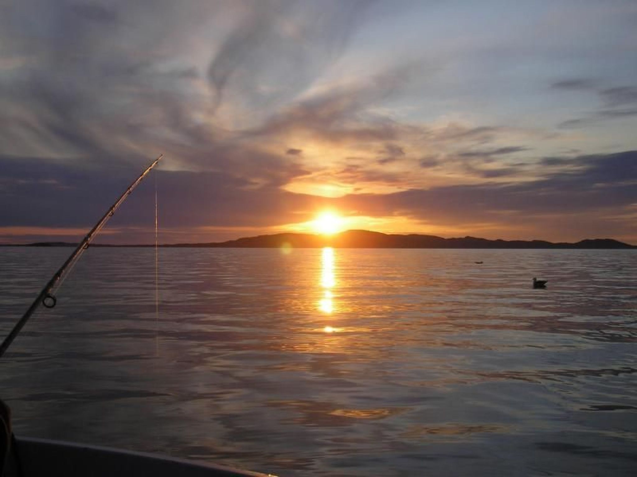 Fw Franzi-Image-tags.info