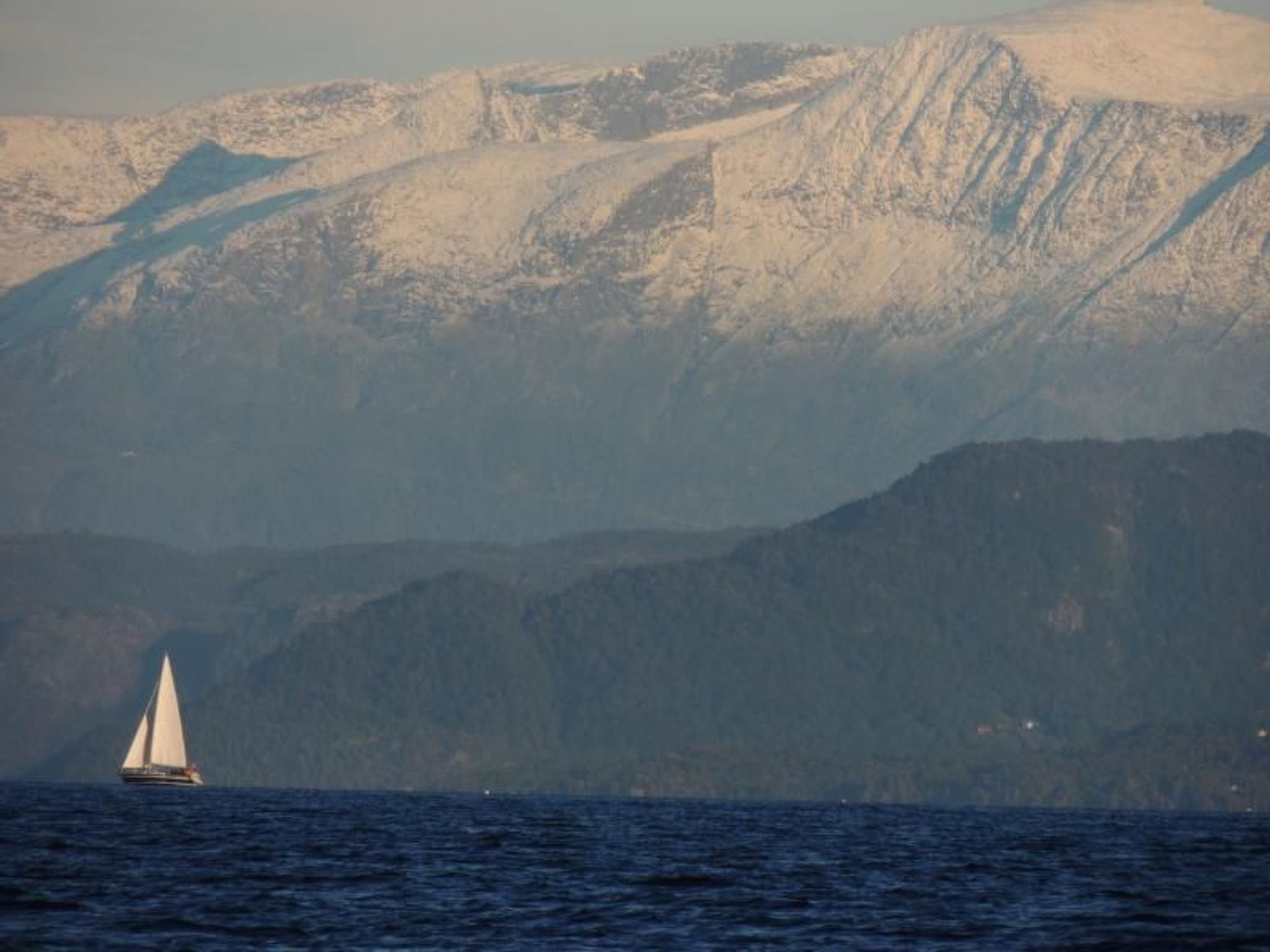 Fw Franzi-Image-tags.info