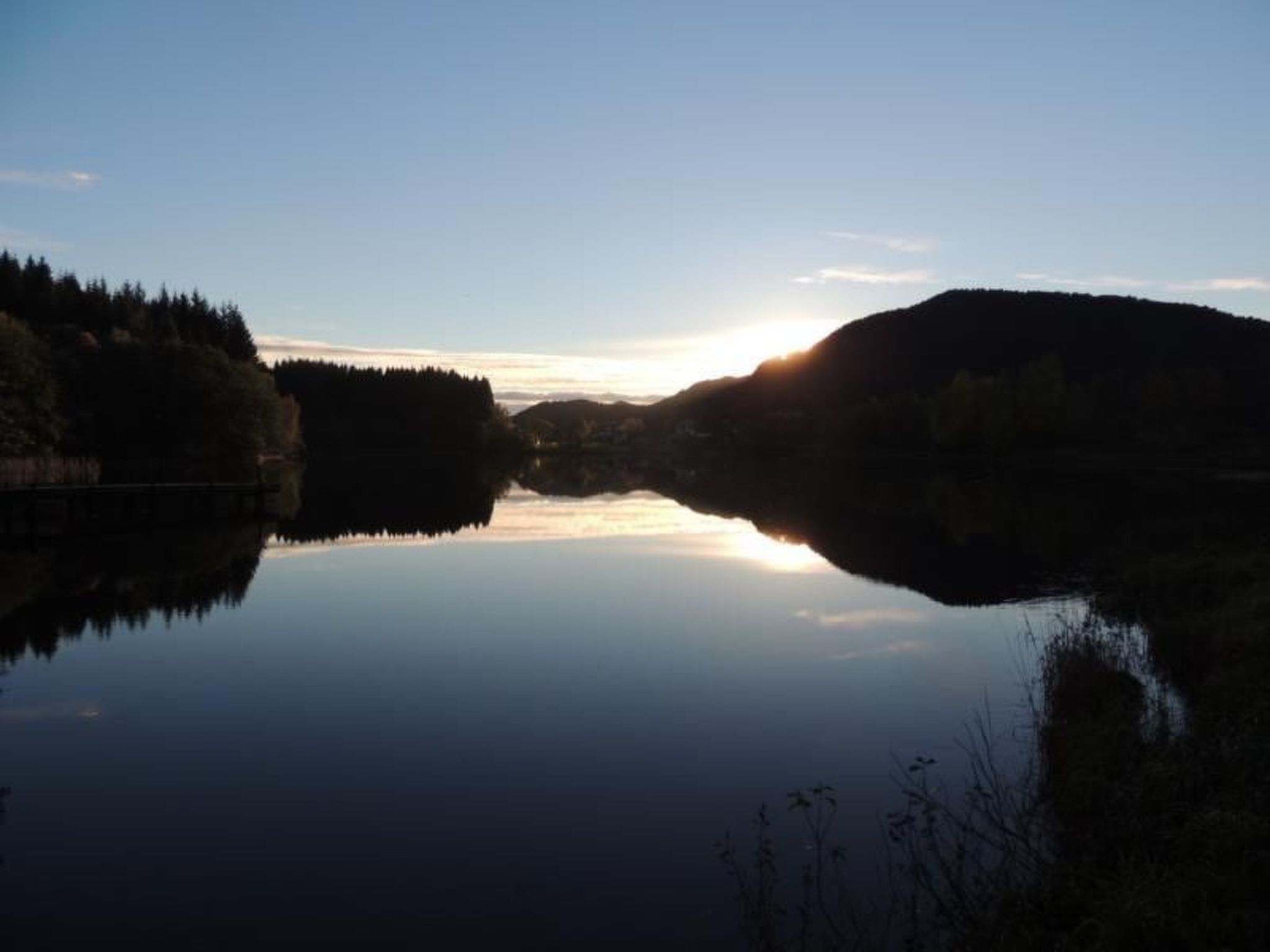 Fw Franzi-Image-tags.info