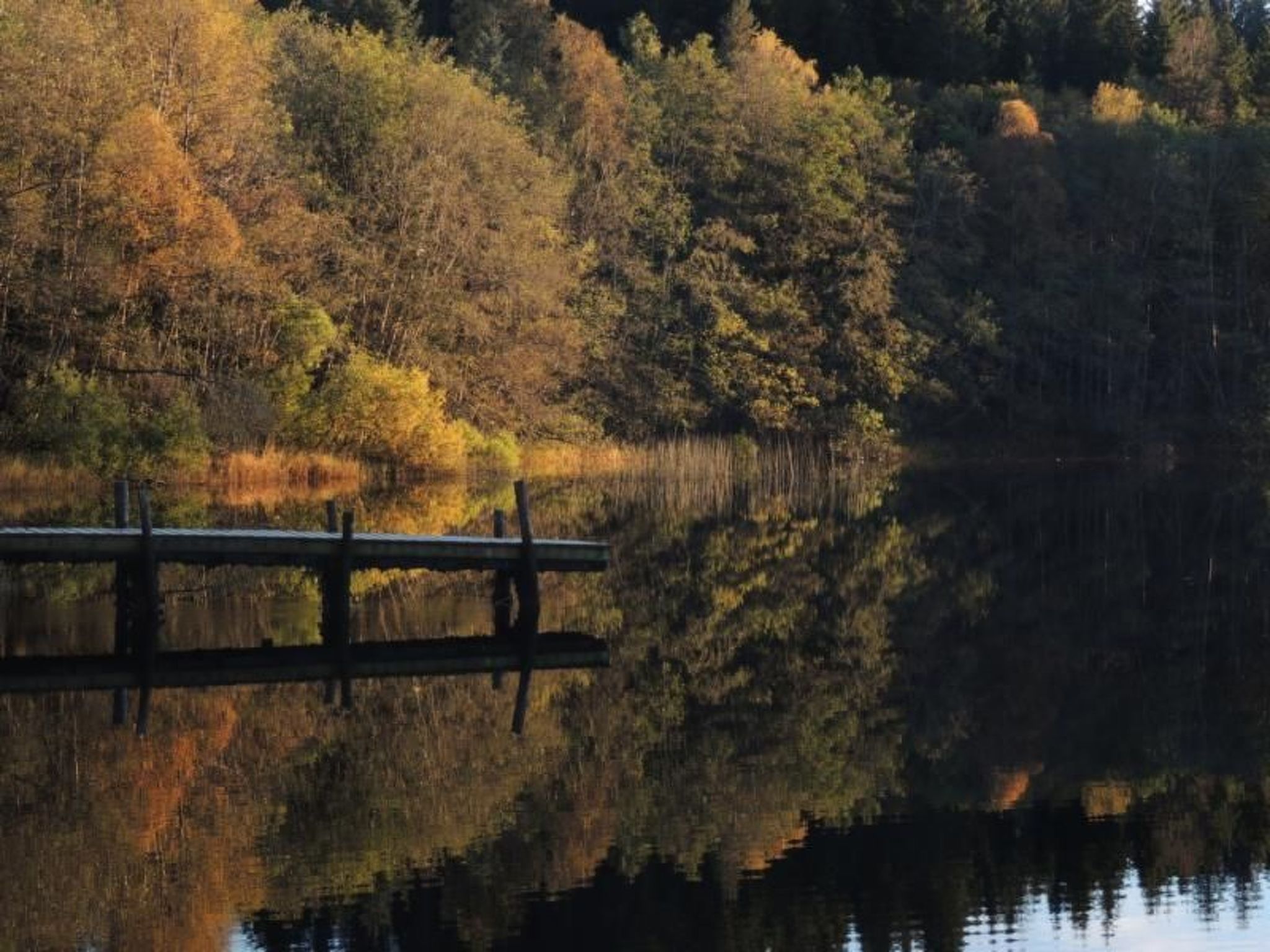 Fw Franzi-Image-tags.info