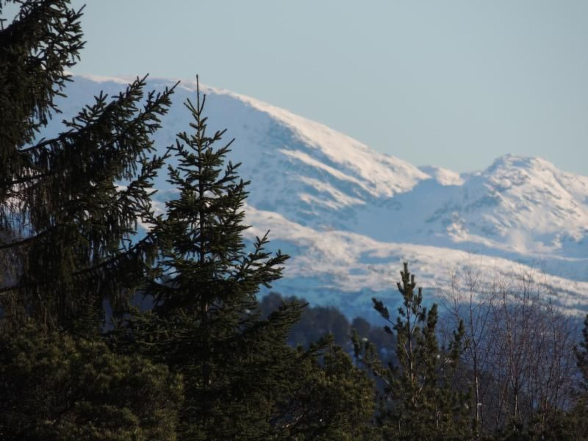 Fw Franzi-Image-tags.info