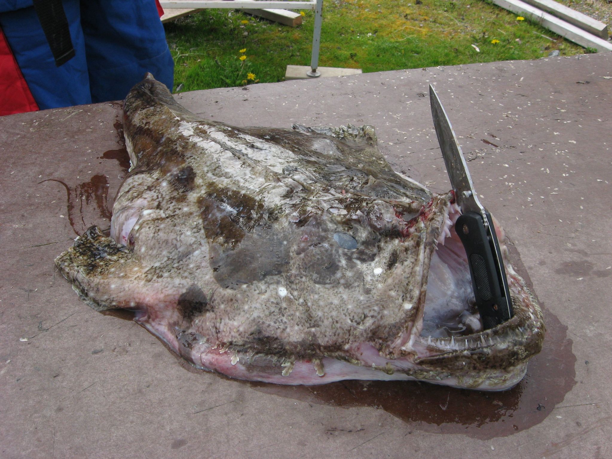 Mit Blick auf das Wasser-Image-tags.info