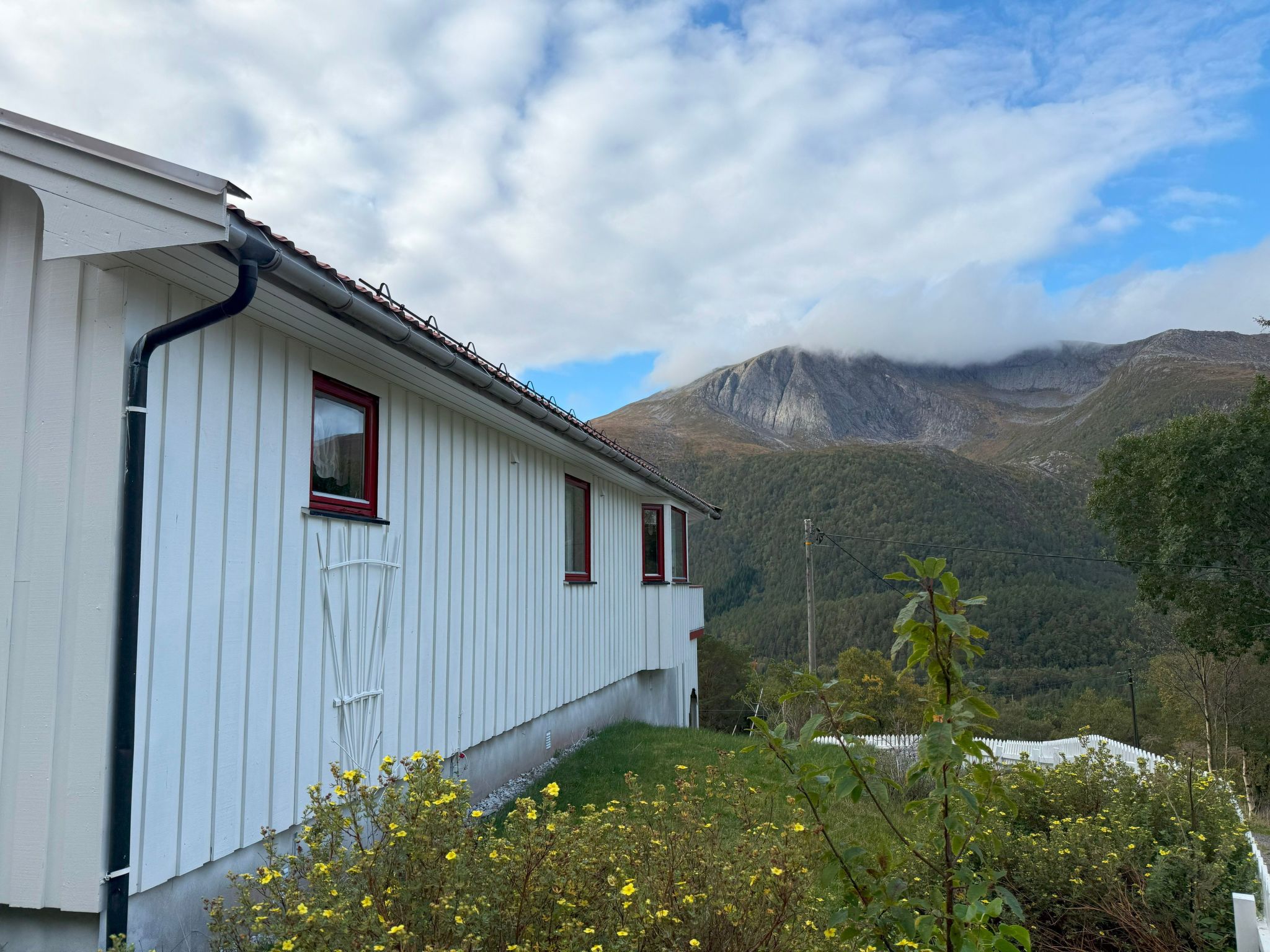 Stabben white House-Binnen