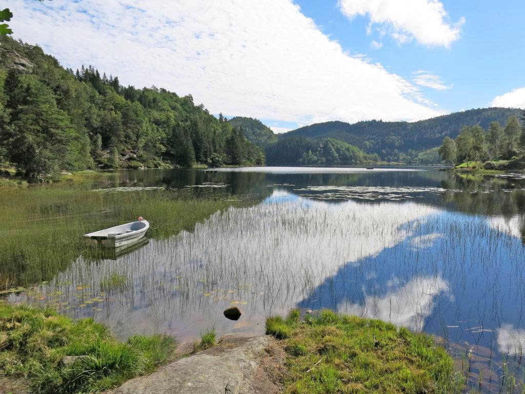 Bild 15