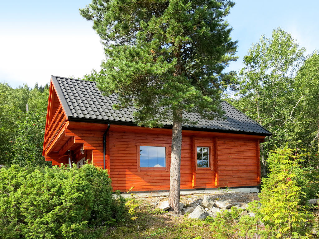 Bild 21