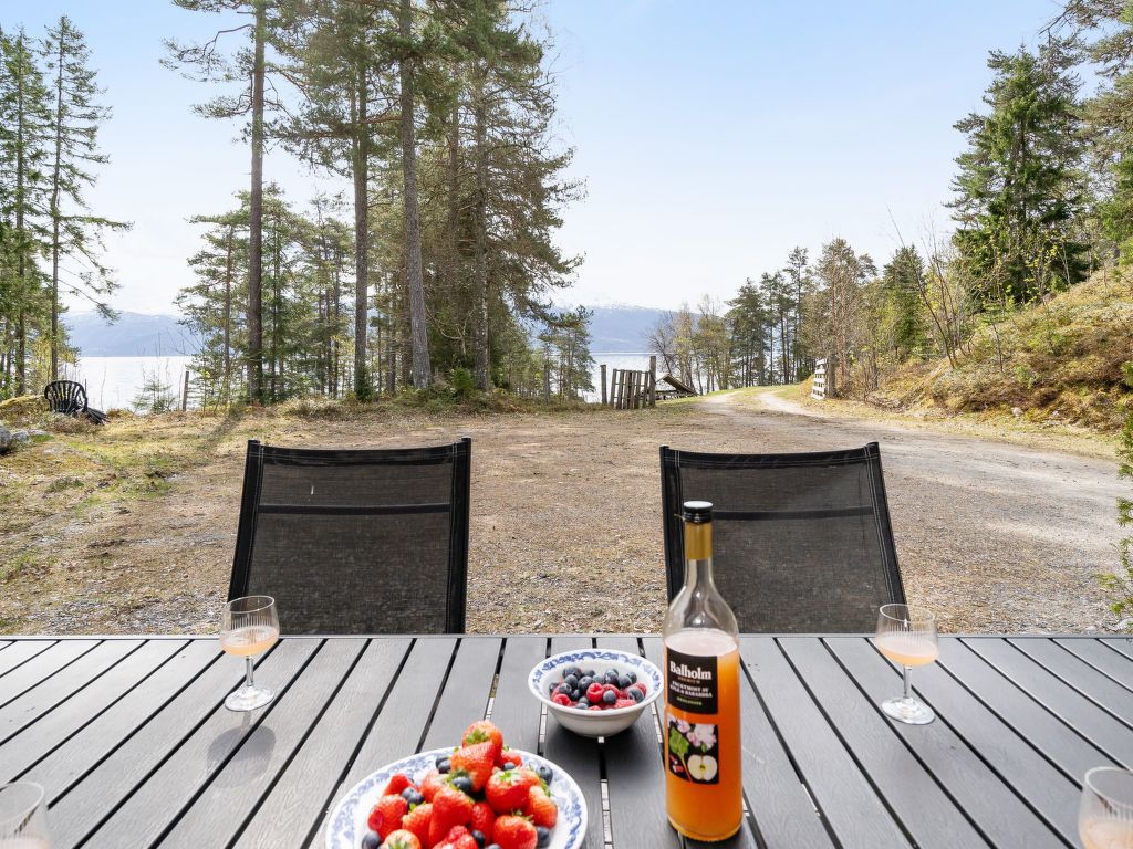 Veganeset II (FJS295)