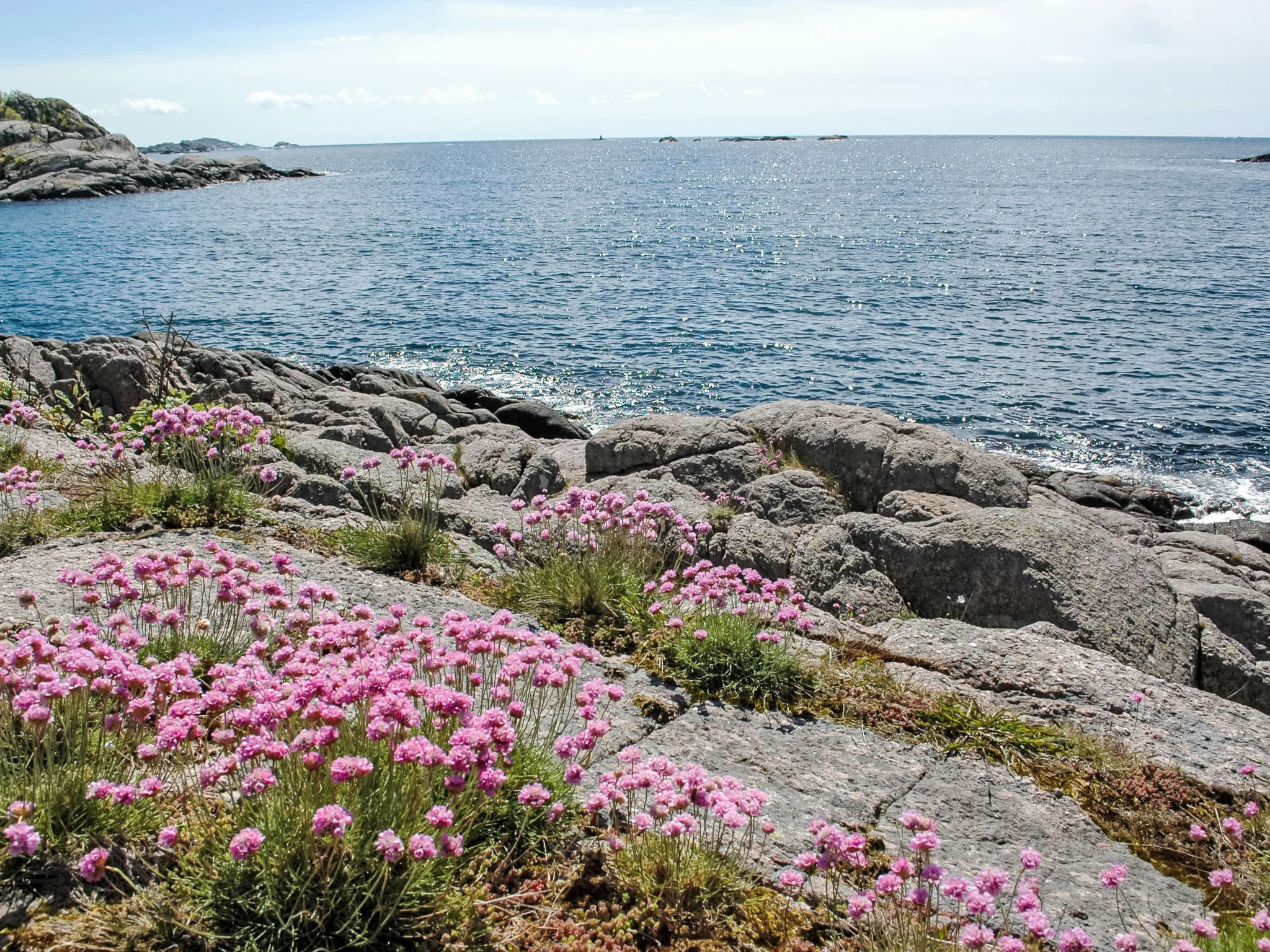 Nedregård-Buiten