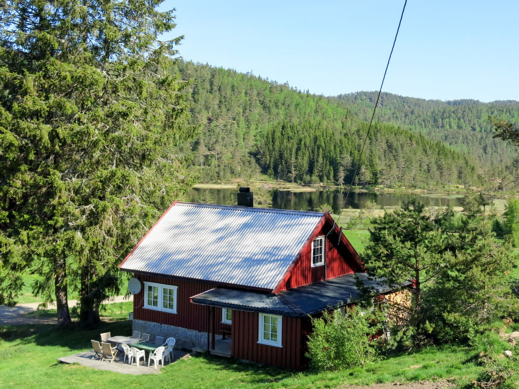 Ferienhaus Abuslandheia (SOO017) Ferienhaus in Norwegen