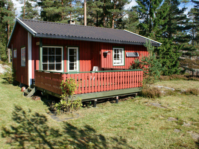 Odden (SOO381)