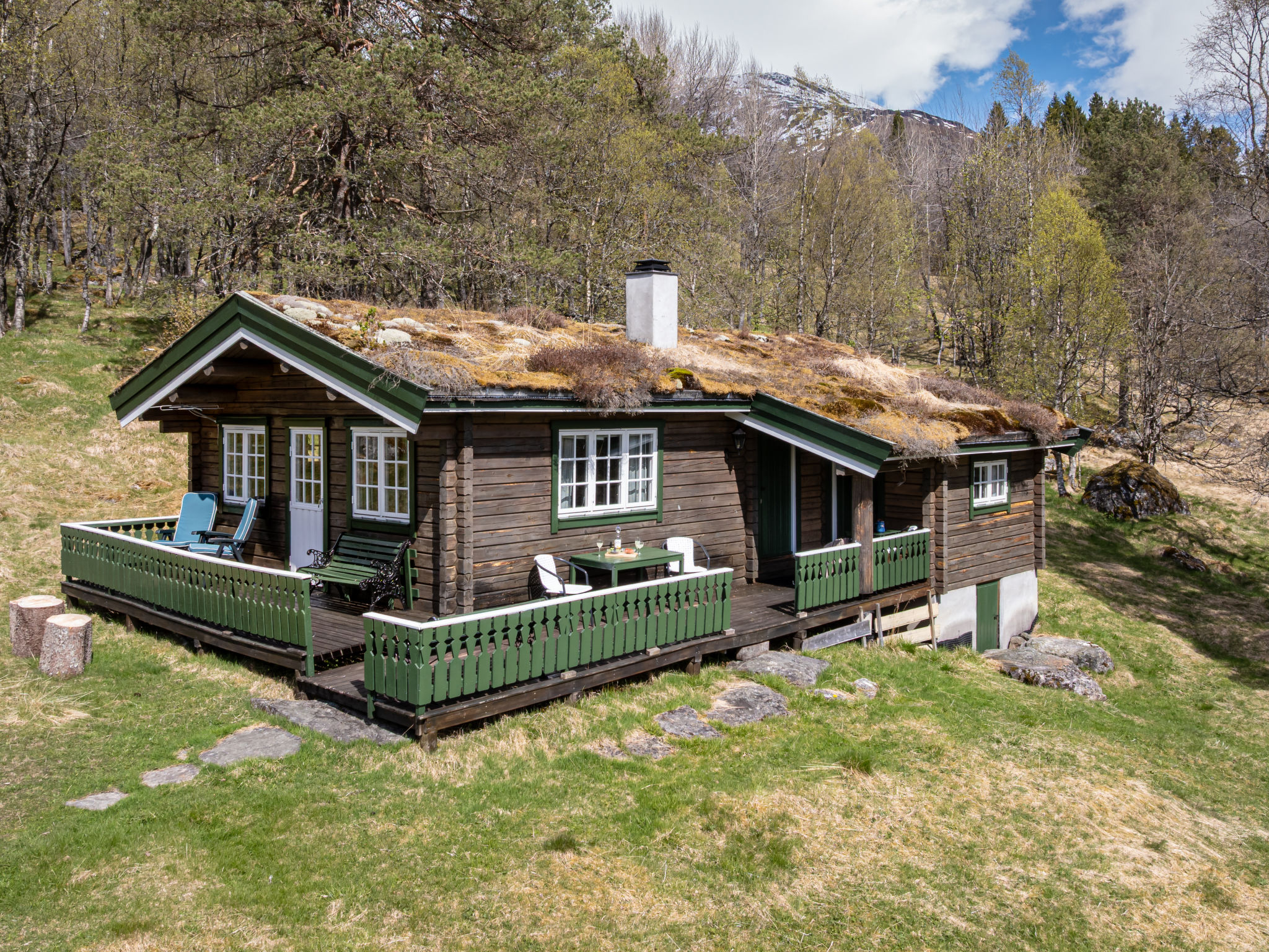 Fjellro - Buiten