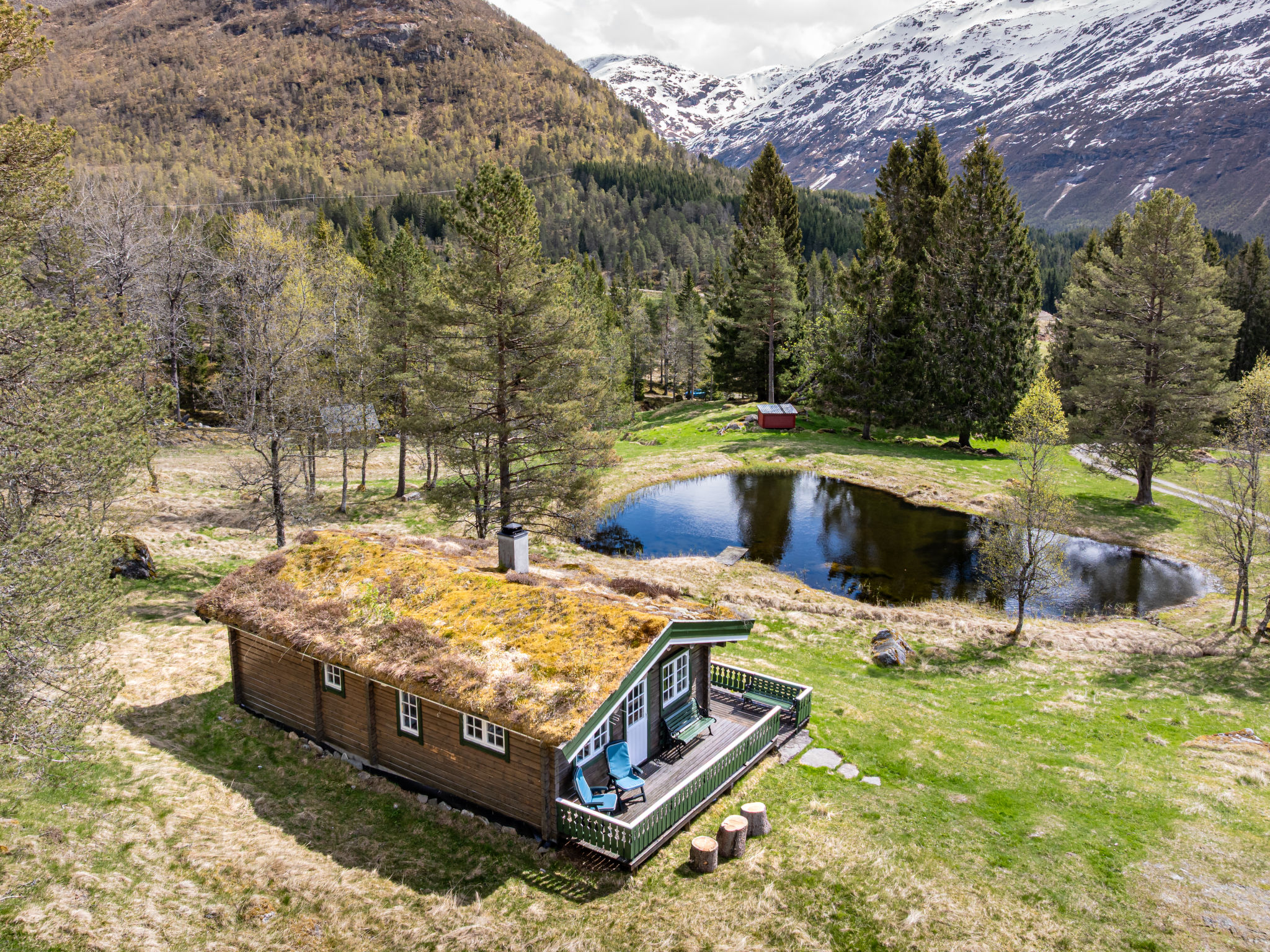 Fjellro - Buiten