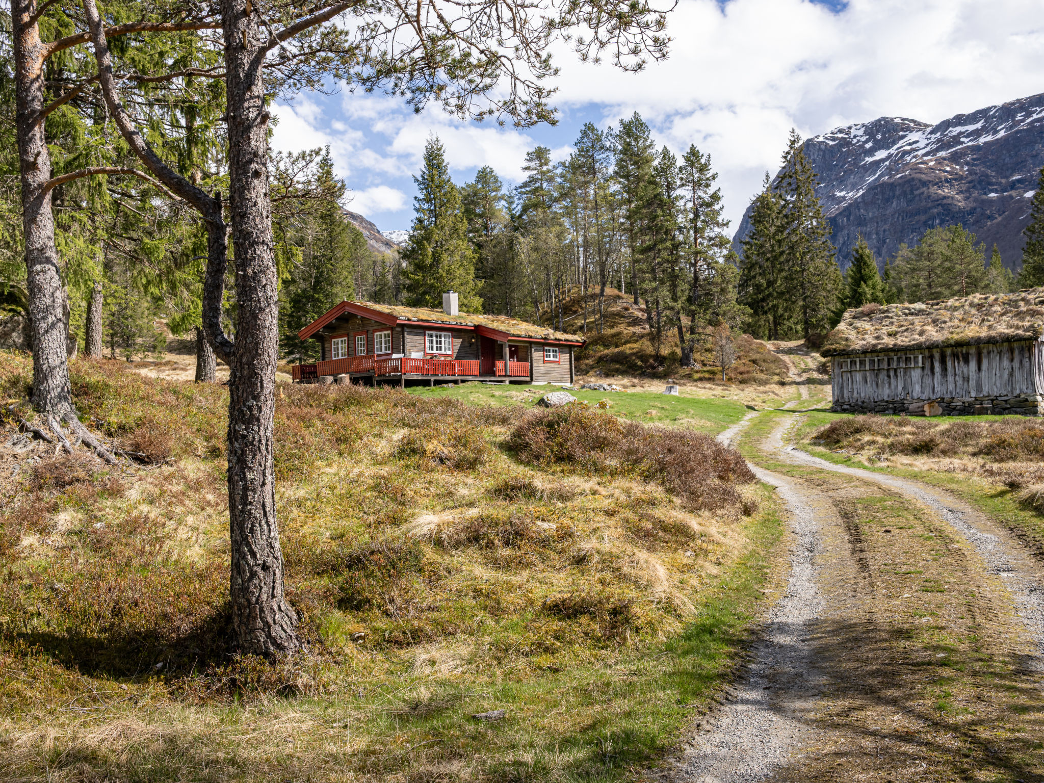 Fjellbris - Buiten