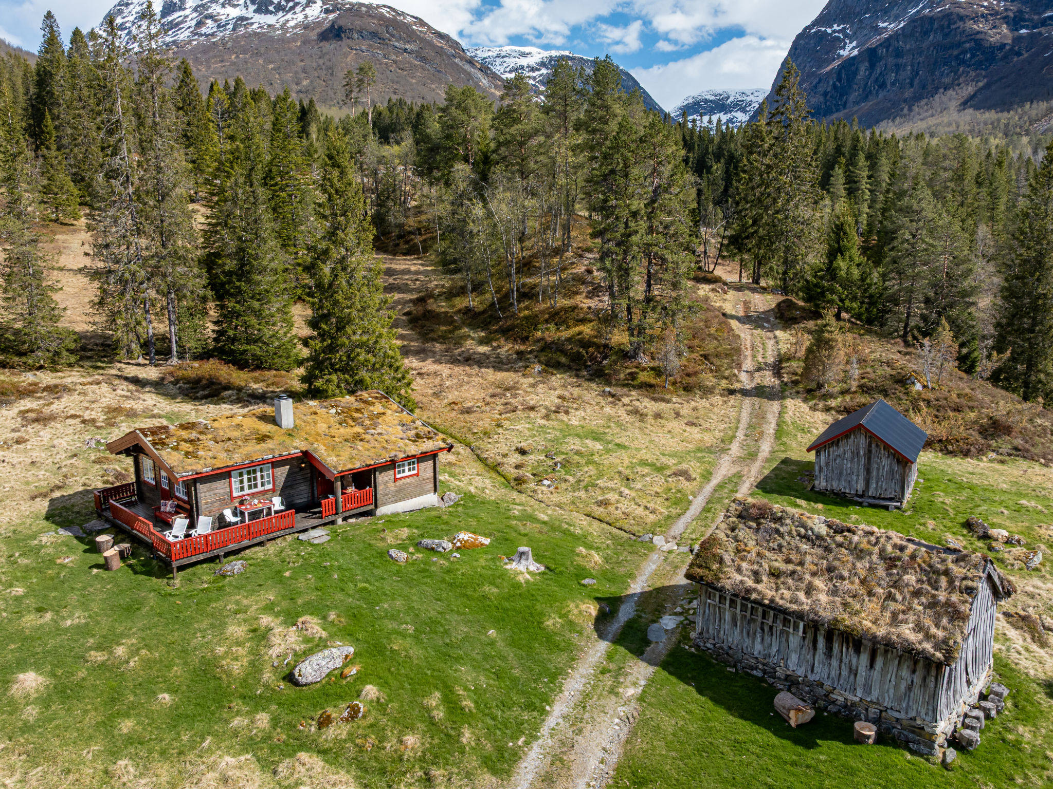 Fjellbris