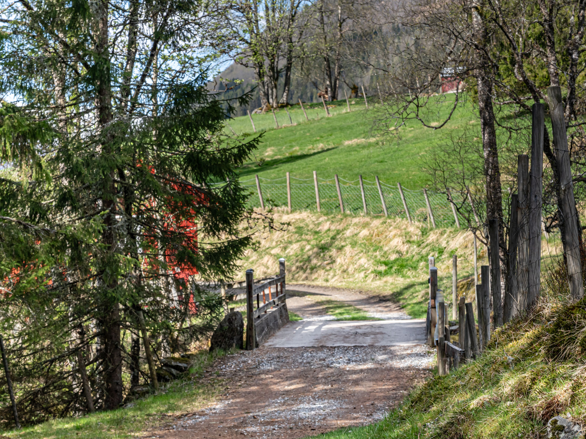 Fjellbris - Buiten