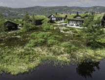 Ferienhaus Fjellheimen