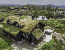Ferienhaus Fjellheimen